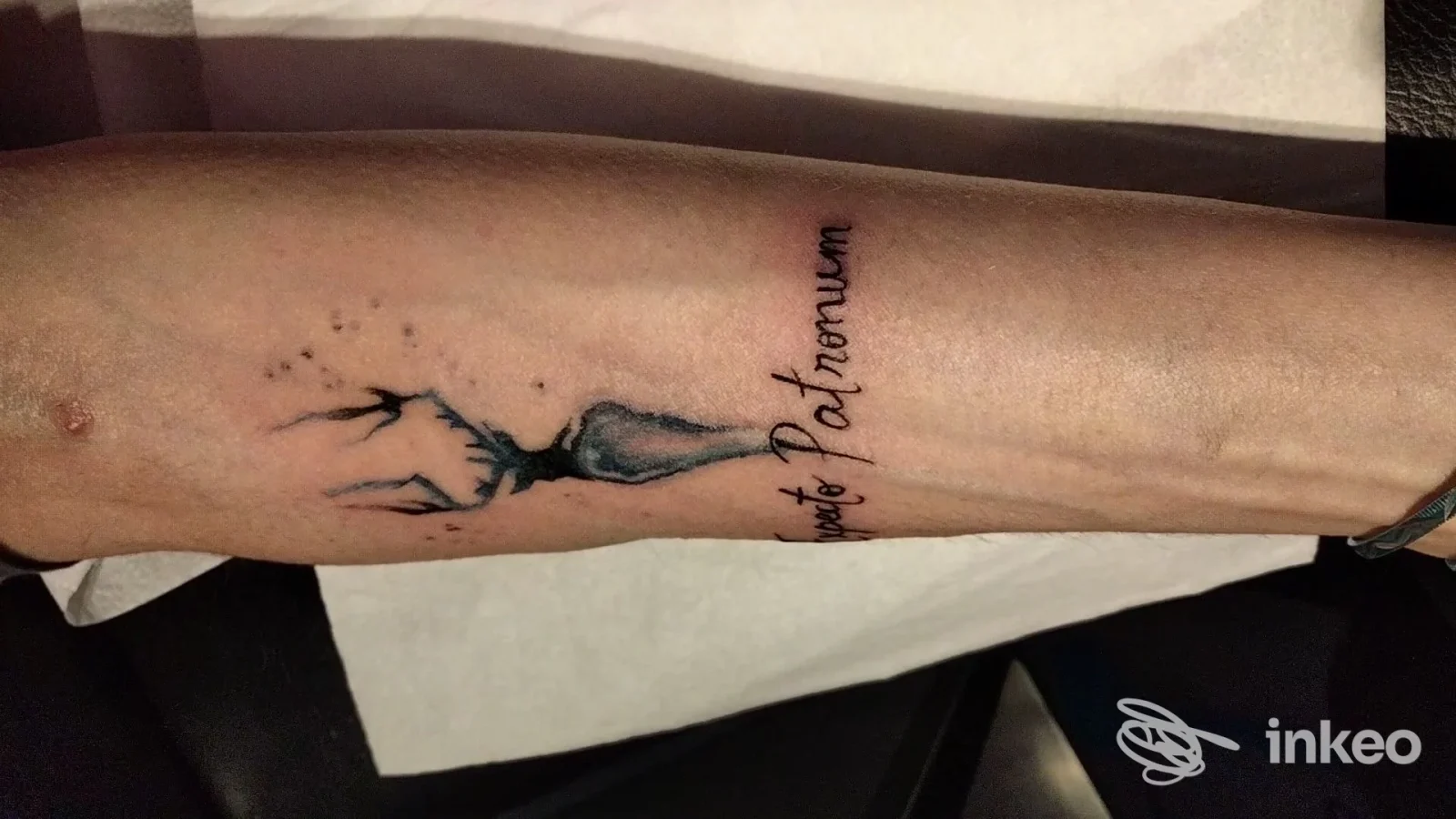 Tattoo visibile sull’avambraccio sinistro: disegno ligneoso con elementi naturali accompagnato da testo lungo la pelle, scattato in studio.