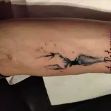 Profilo Instagram di Jo Lissoni