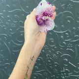Profilo Instagram di Paola Bazzani