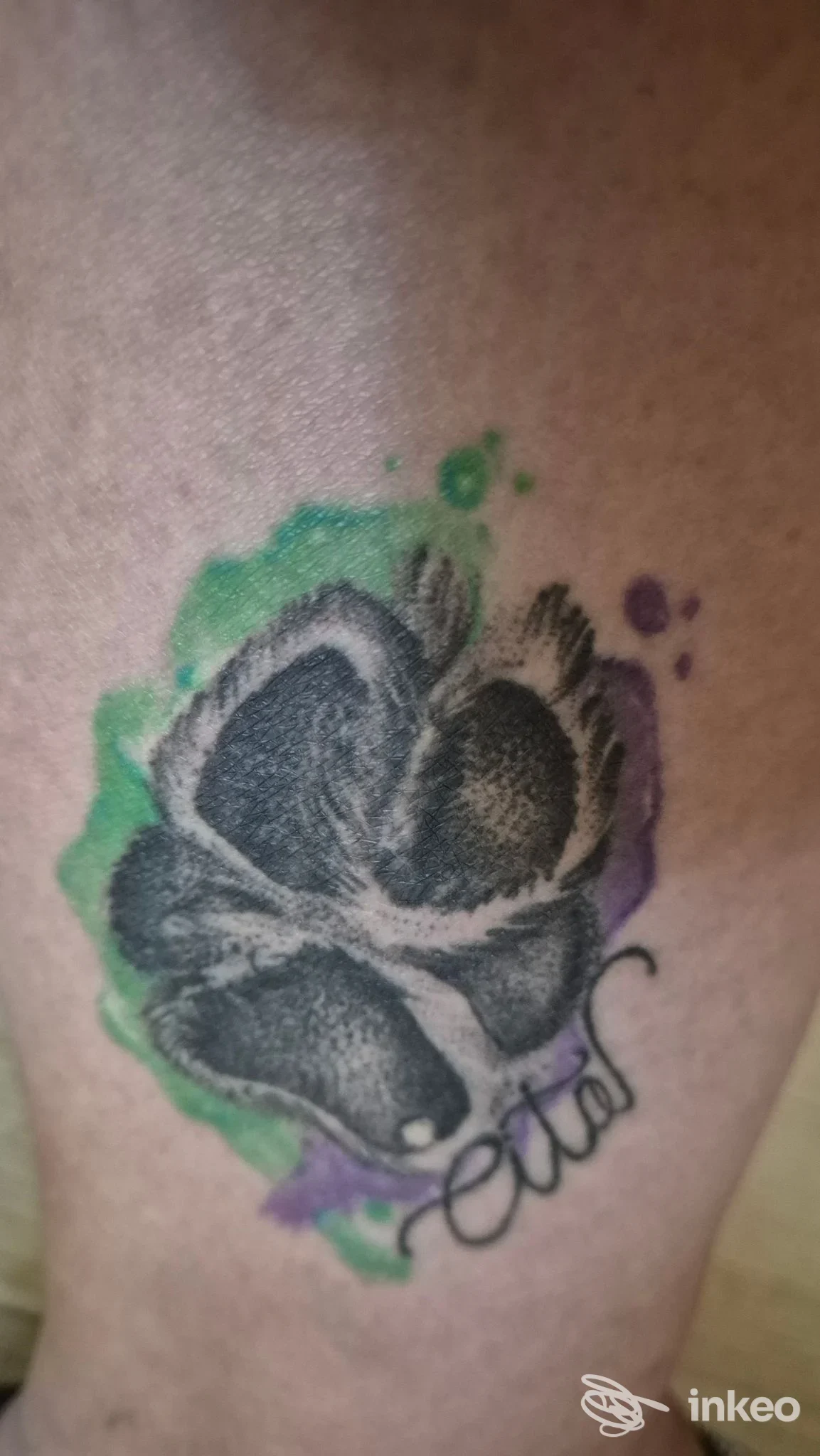 Tatuaggio floreale/scuro con sfondo acquerellato verde e viola, foto fornita da Fairy tattoo studio, Novara.