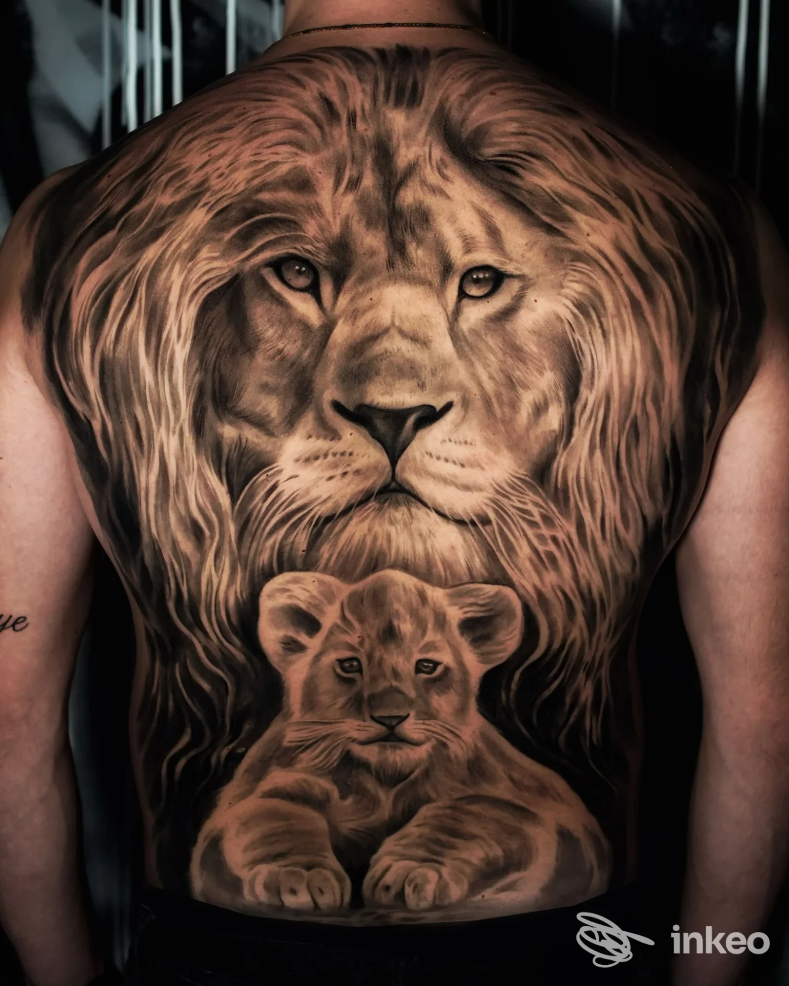 Grande tatuaggio realistico di leone e cucciolo sulla schiena, foto fornita da ARTEM Tattoo Studios di Lucio Skor a Volla.