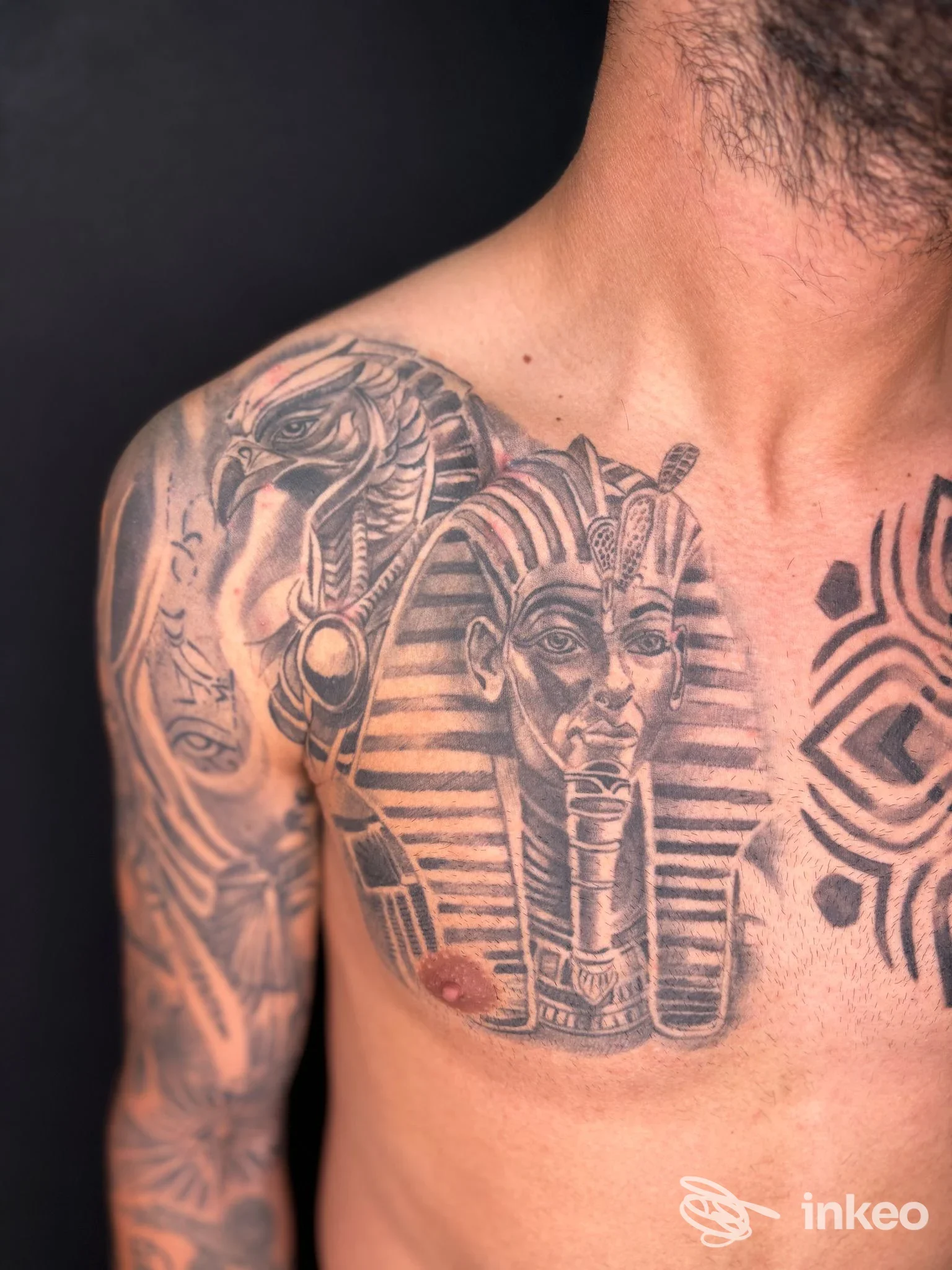 Tatuaggio black & grey su torace e spalla, ritratto di faraone e falco. Total Art Tattoo, Chioggia.