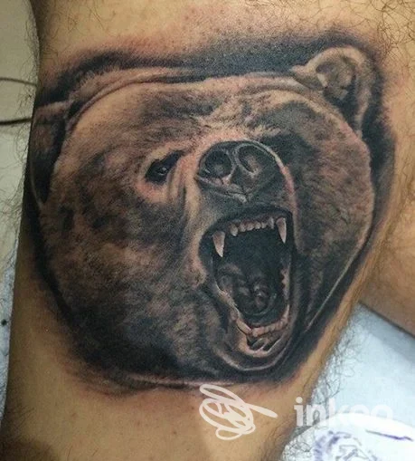 Tatuaggio realistico in bianco e nero di una testa di orso scattato su pelle umana, foto fornita da NOOK tattoo a Bari.