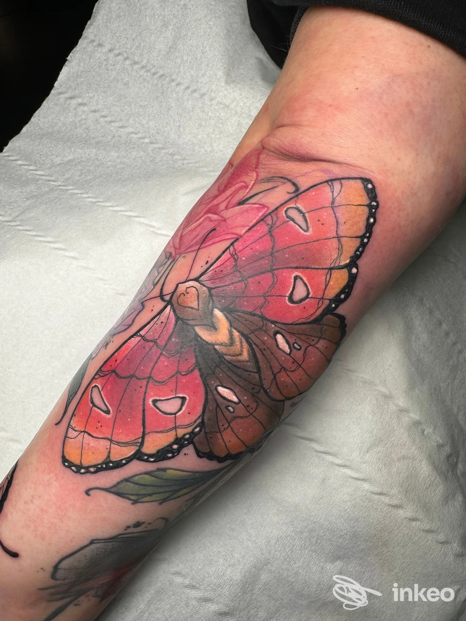 Tatuaggio farfalla rosa-arancio sull'avambraccio, foto fornita da 987 Tattoo Studio a Sciacca.
