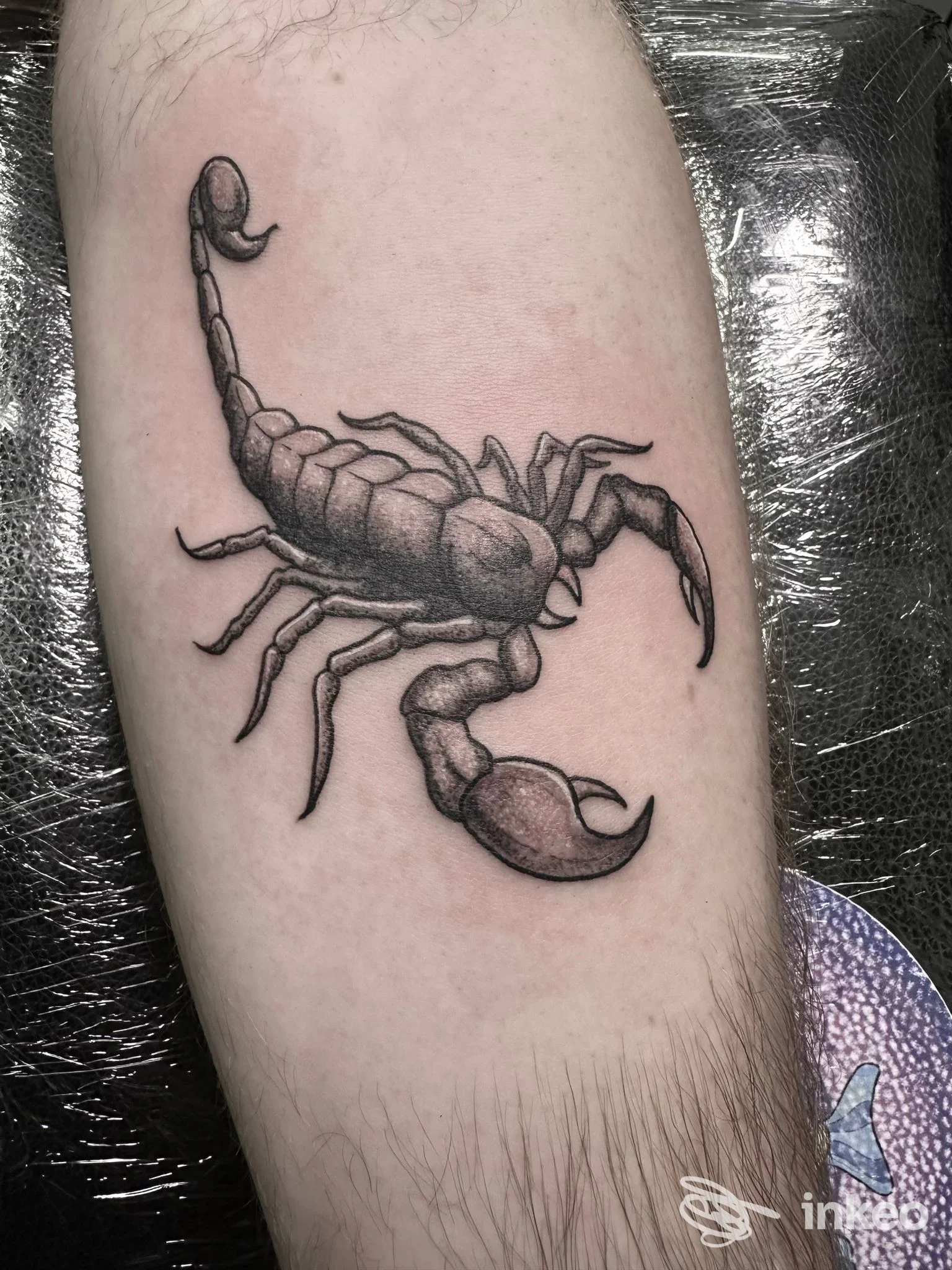 Tatuaggio scorpione in bianco e nero sull'avambraccio, foto inviata da 987 Tattoo Studio, Sciacca.