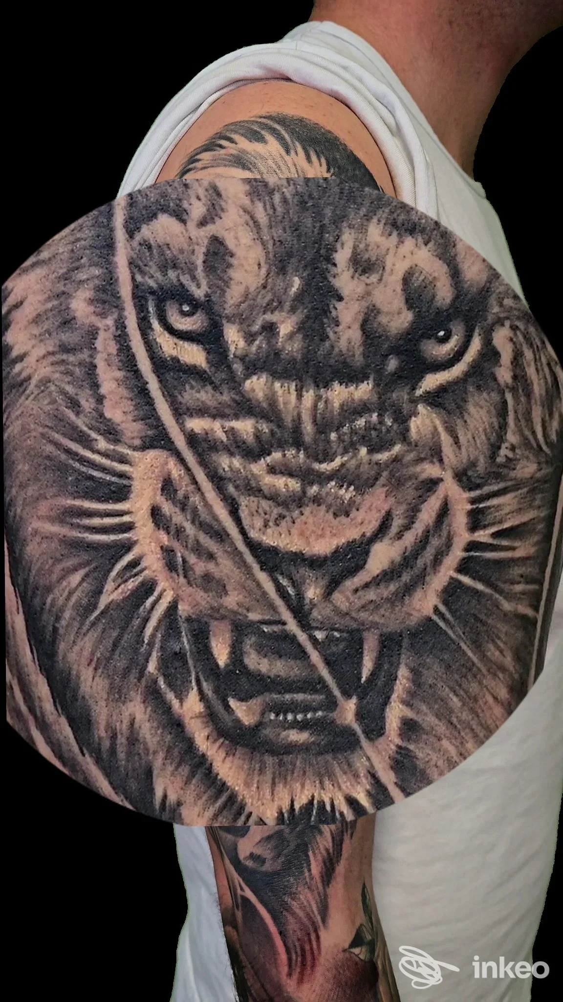 Tatuaggio realistico in bianco e nero di una testa di tigre sulla spalla e parte superiore del braccio, ARI TATTOO PRATO, Montemurlo.