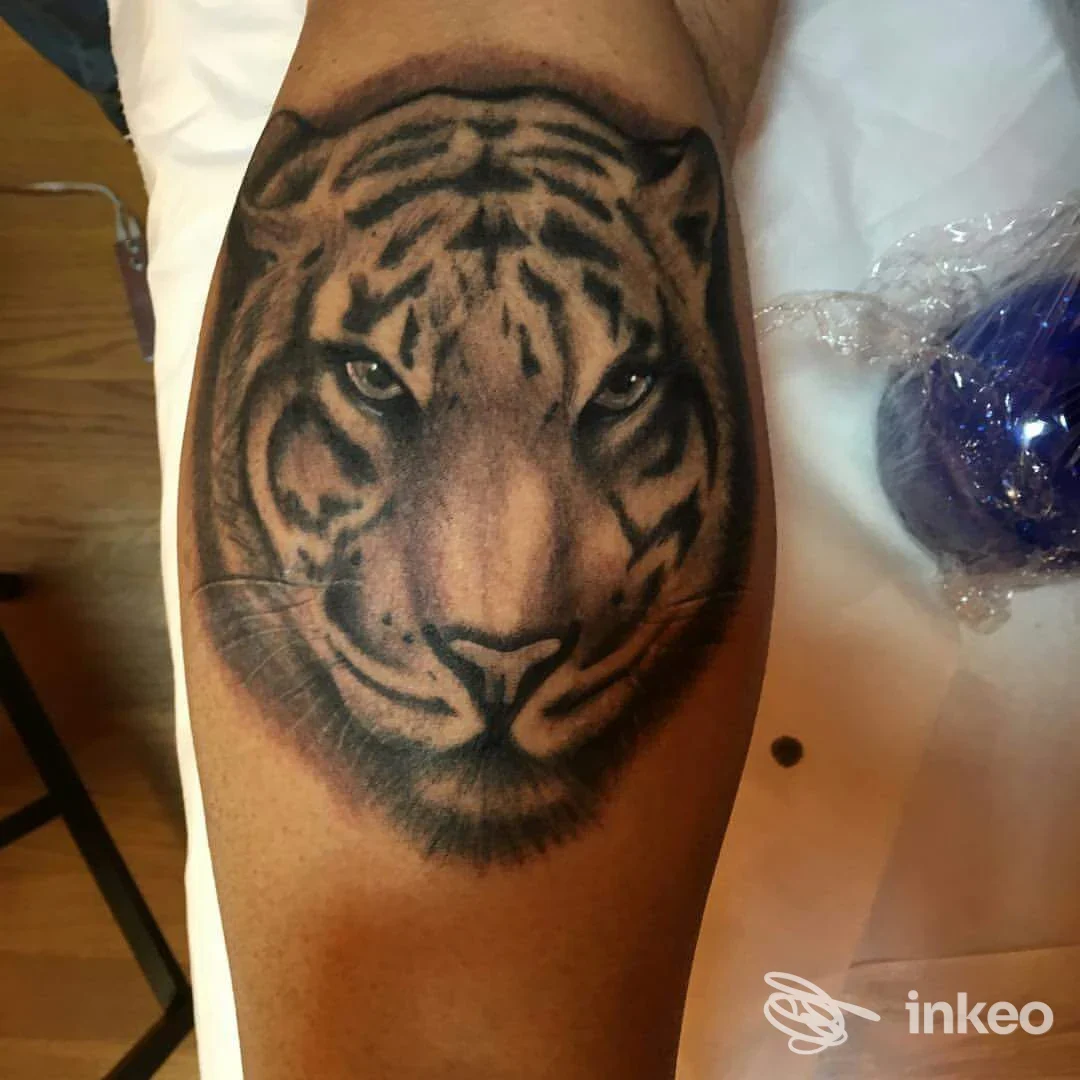 Tatuaggio realistico di una testa di tigre sul polpaccio, SKIN ART tattoo di Biagio Daniele Castiglione, Alba.