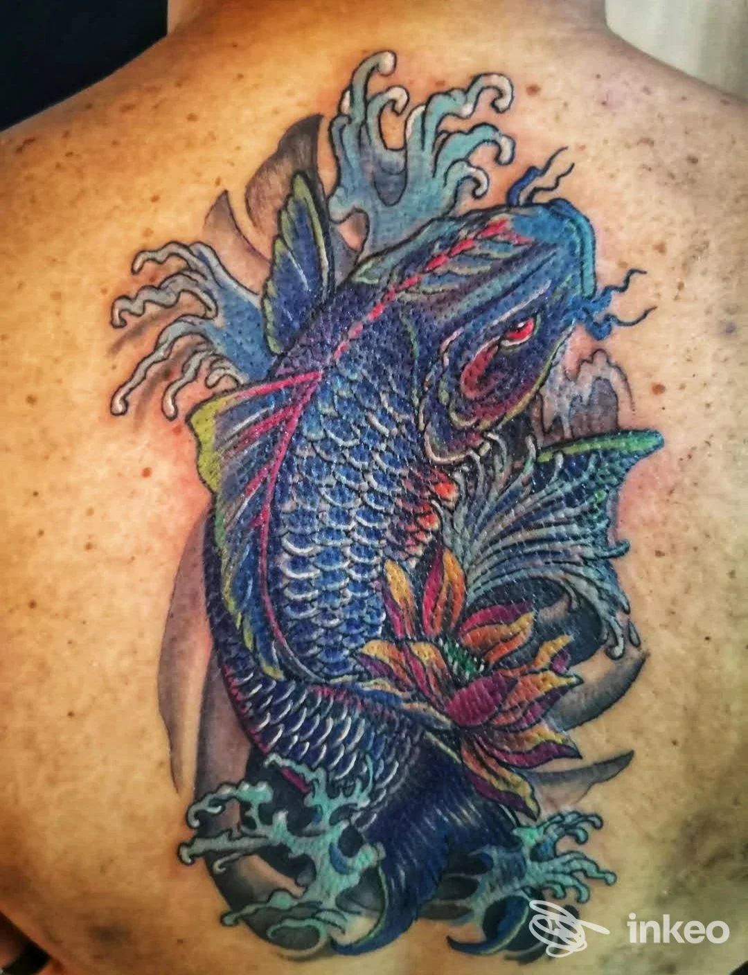 Grande tatuaggio di koi colorato sulla parte superiore della schiena, foto dello studio Gianpy TATTOO BARI a Bari.