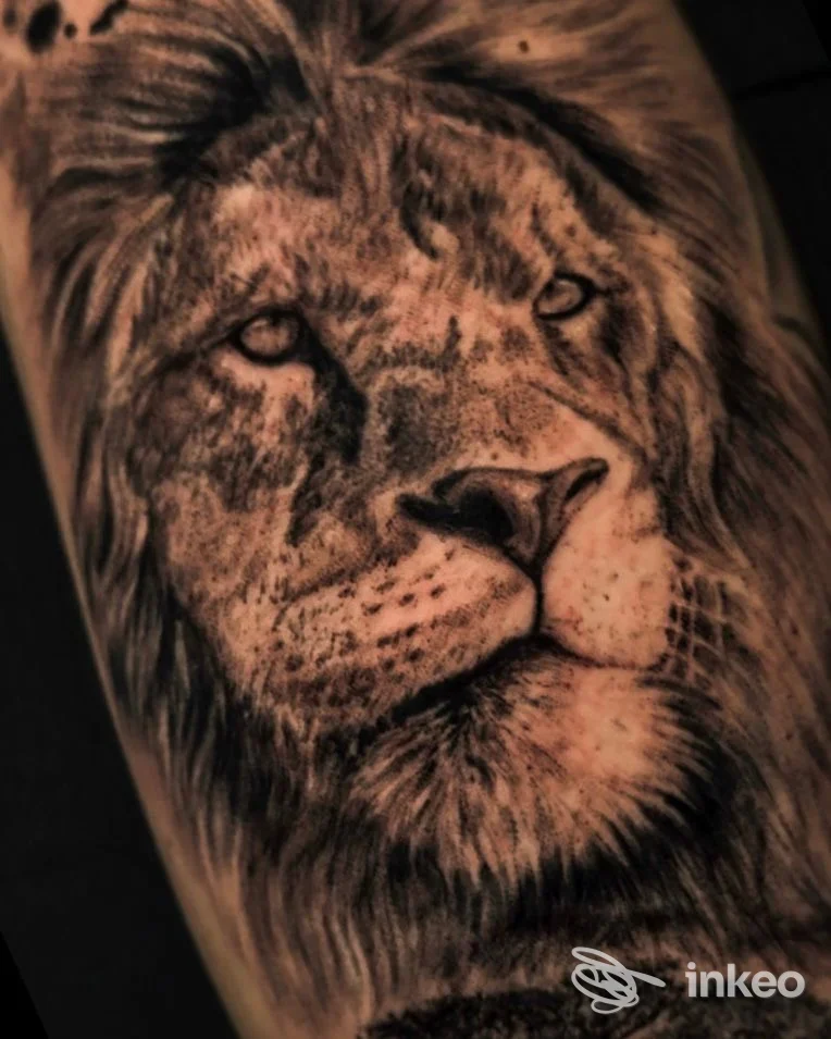 Tatuaggio realistico del volto di un leone su avambraccio, scuro e molto dettagliato, eseguito da The Groove Tattoo di Gaetano Marotta a Sapri.