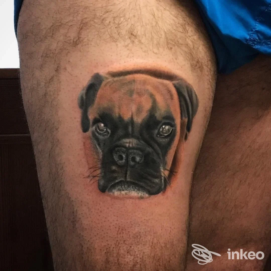 Tattoo realistico raffigurante la testa di un cane boxer sulla gamba, mostra dettagli e colore sulla pelle.