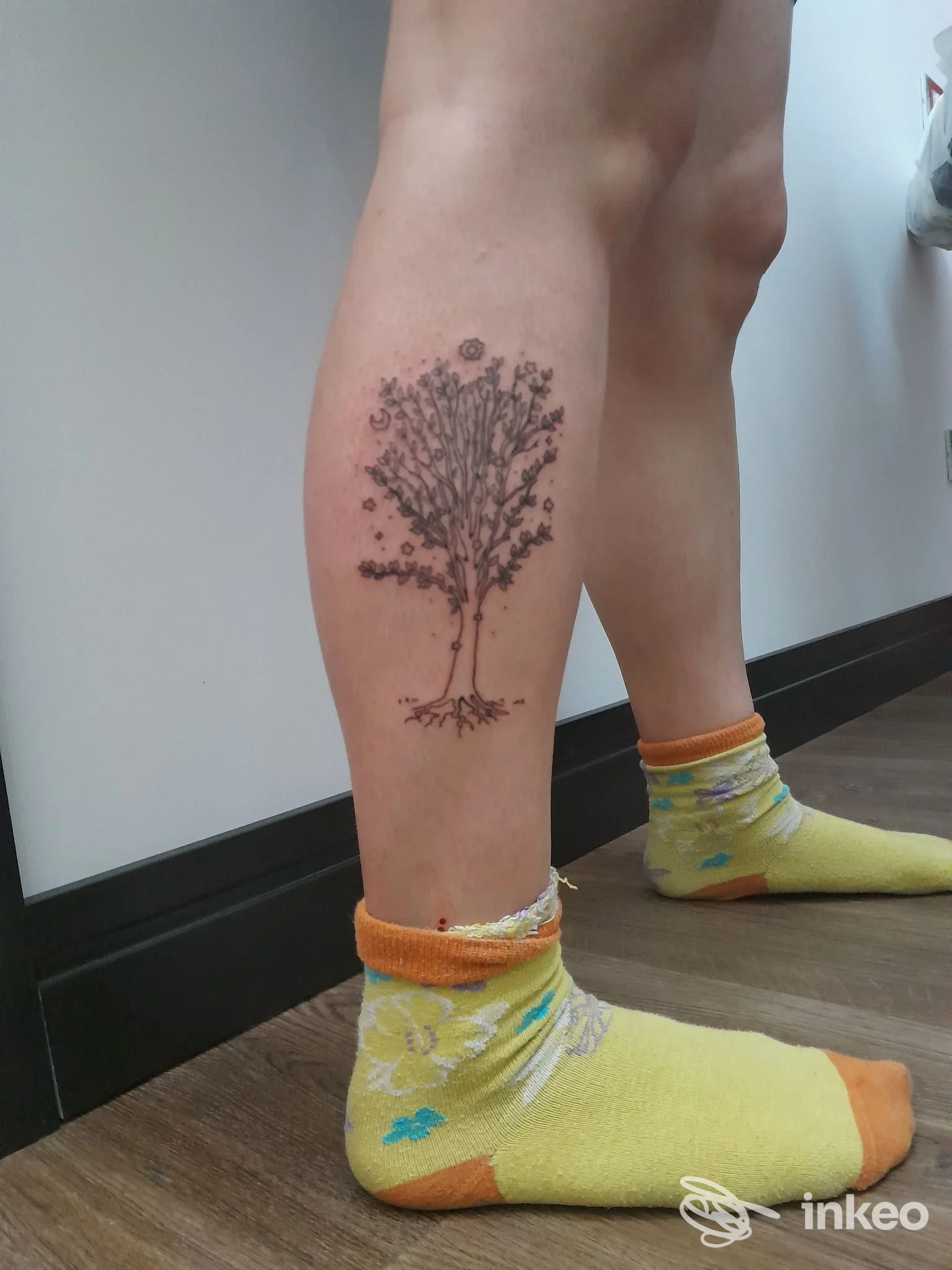 Tatuaggio al polpaccio con albero stilizzato e dettagli puntinati, fotografato vicino al pavimento nello studio AltajTattoo a Lesa.