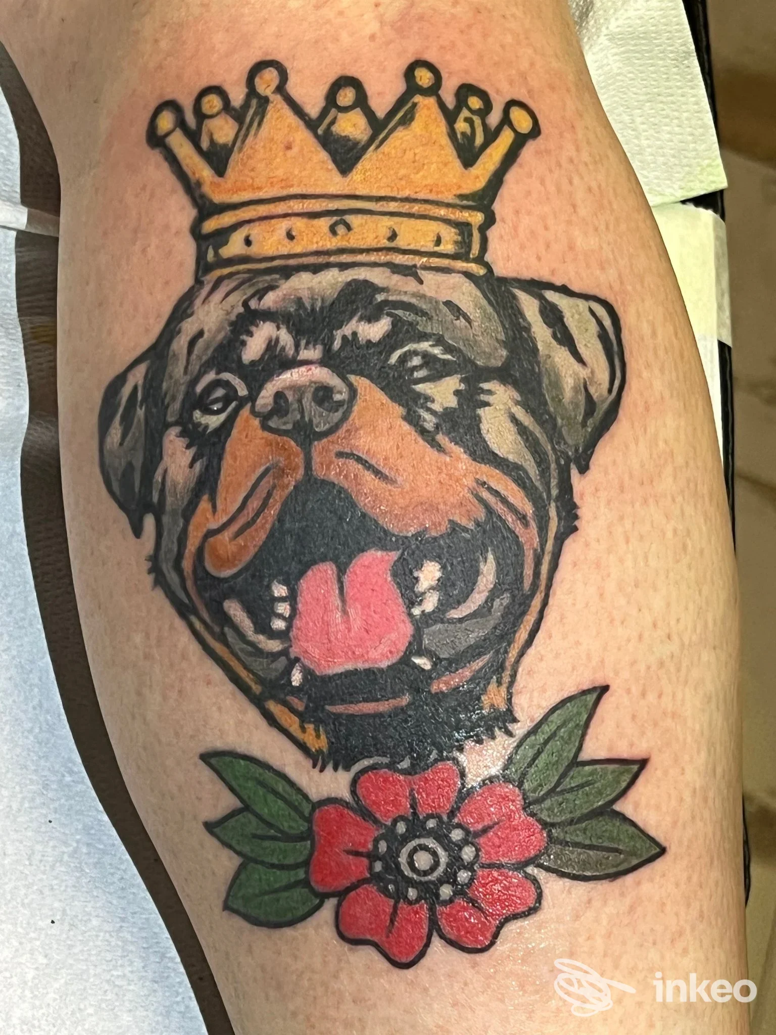 Tatuaggio a colori di testa di cane con corona e fiore sul polpaccio, realizzato da Frog Ink Tattoo a Riccione.