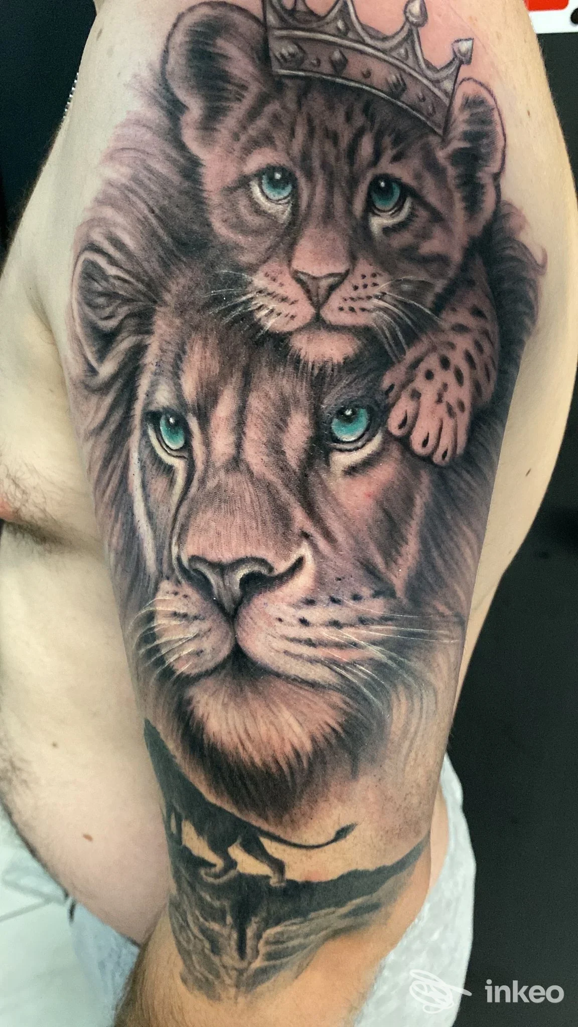 Tatuaggio realistico di leone e cucciolo sul braccio, Alex Passion Tattoo, Civita Castellana.