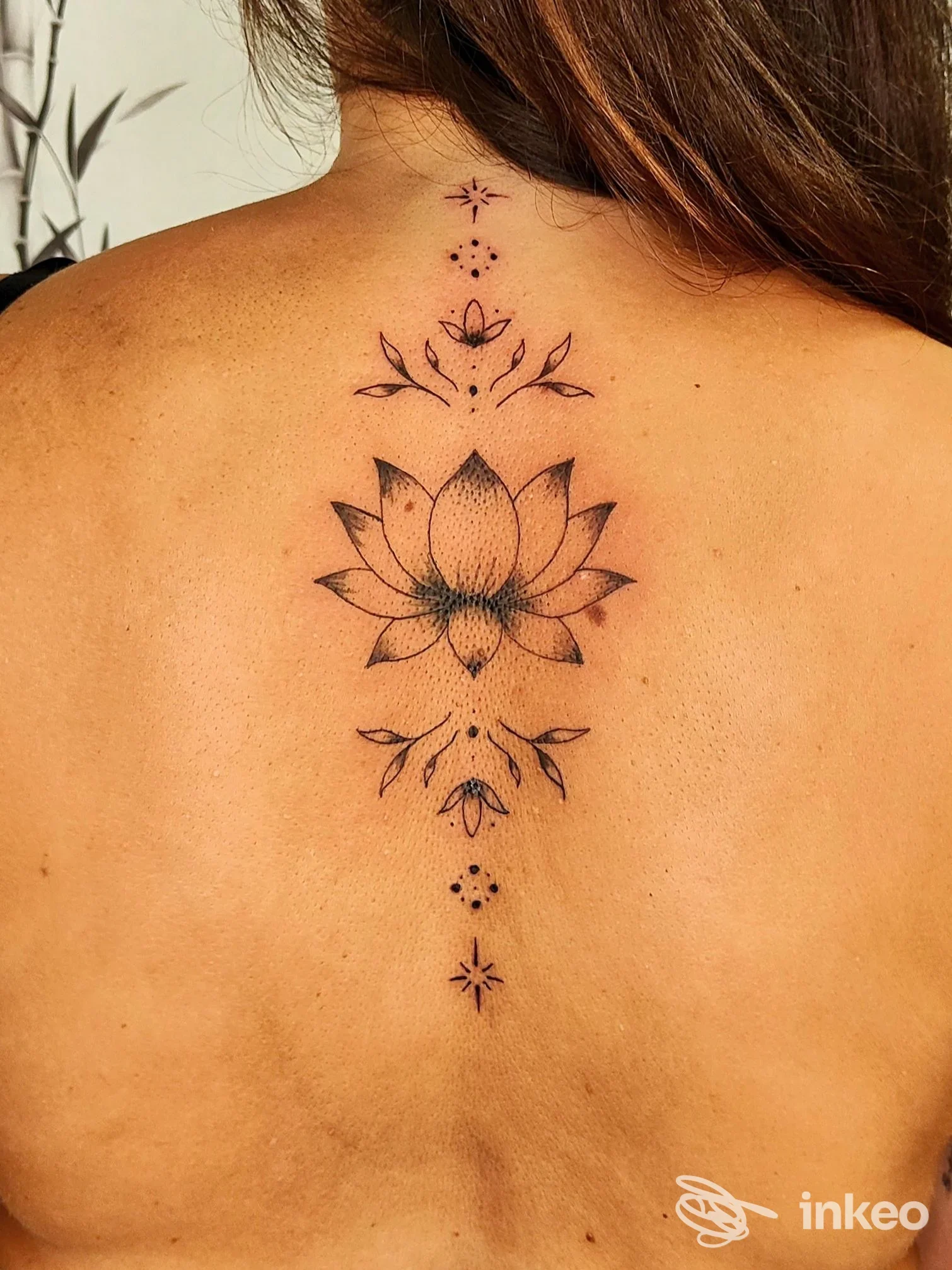 Tatuaggio a loto e ornamenti puntinati lungo la colonna vertebrale su schiena femminile. Tenshi Tattoo studio, Vetralla.