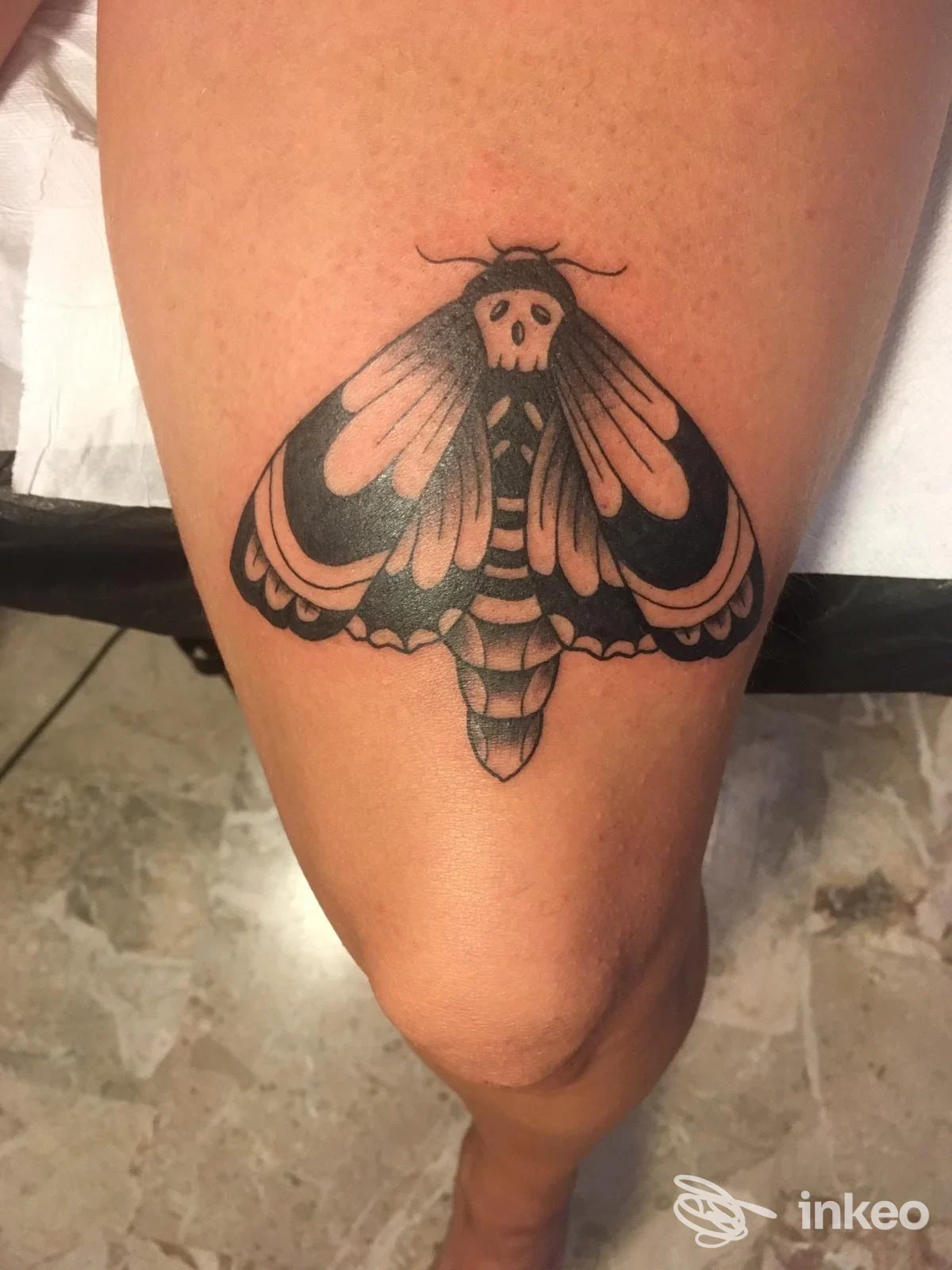 Tatuaggio di una grande falena nera sopra il ginocchio, foto inviata dallo studio Mom ink a Macerata.