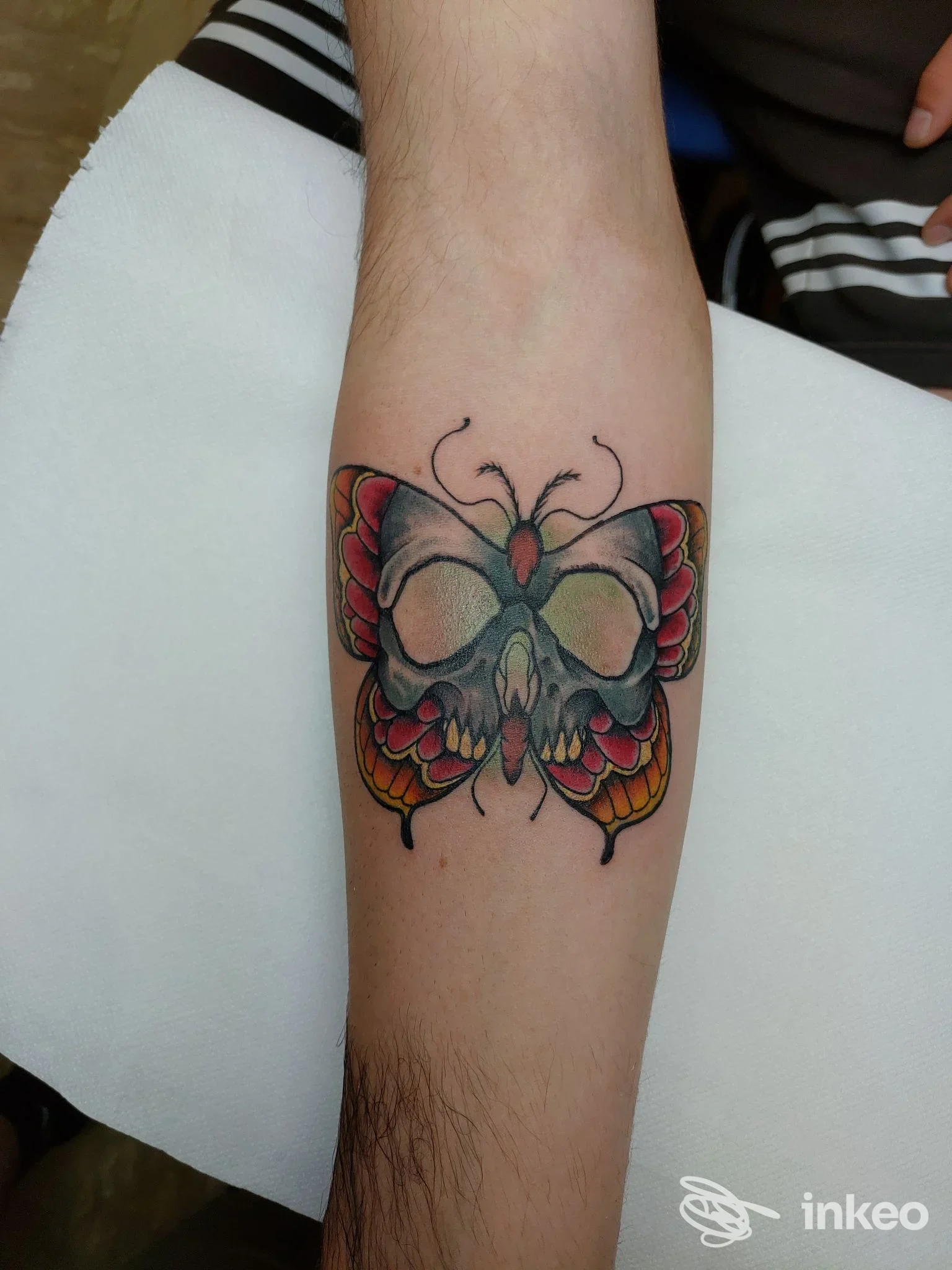 Tatuaggio a Viterbo di Underskin Needle & Ink Studio: farfalla colorata con teschio sul lato interno dell'avambraccio.