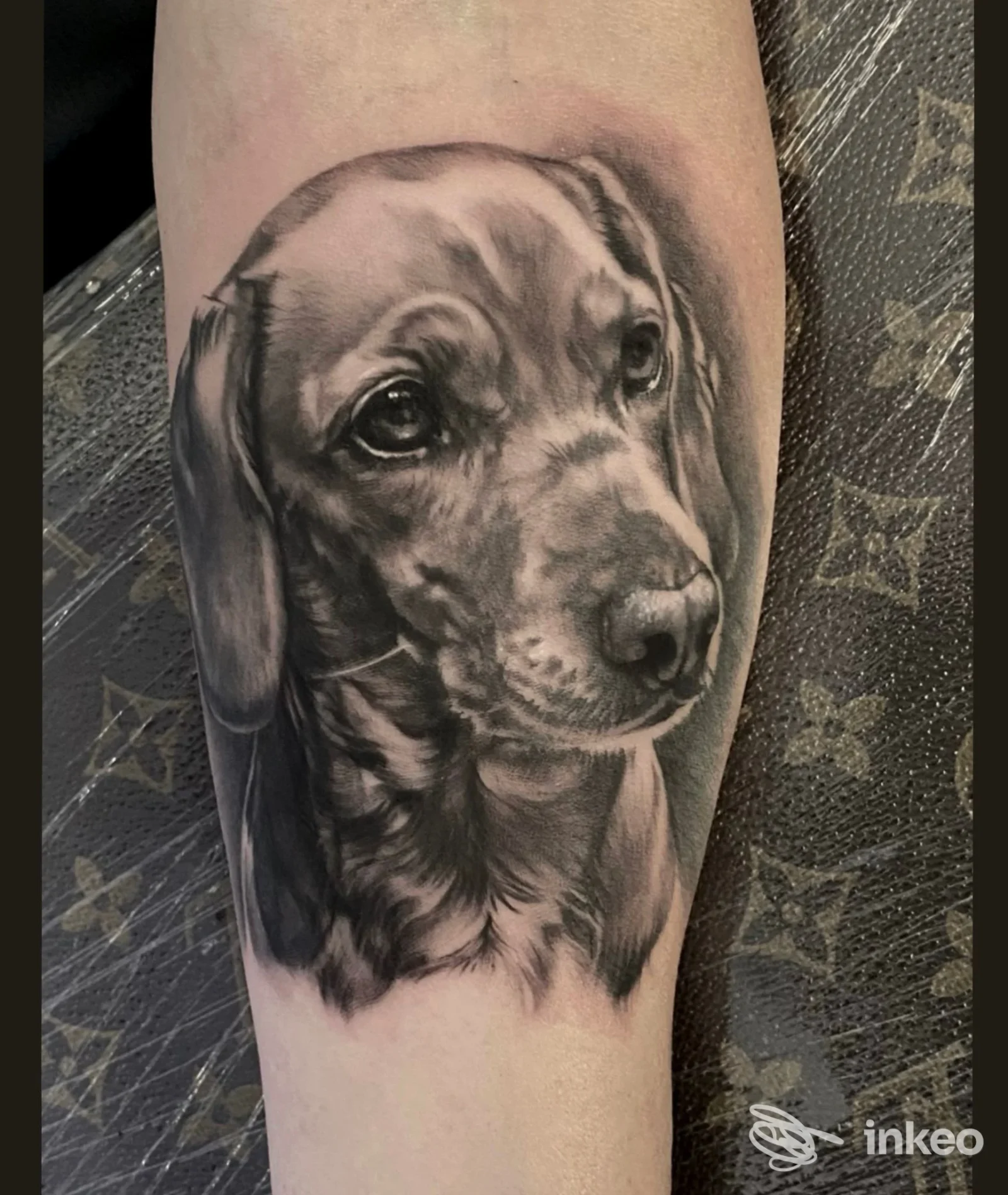 Tatuaggio realistico di un cane ritratto sul braccio, realizzato sulla pelle, senza presenza di volto umano visibile.