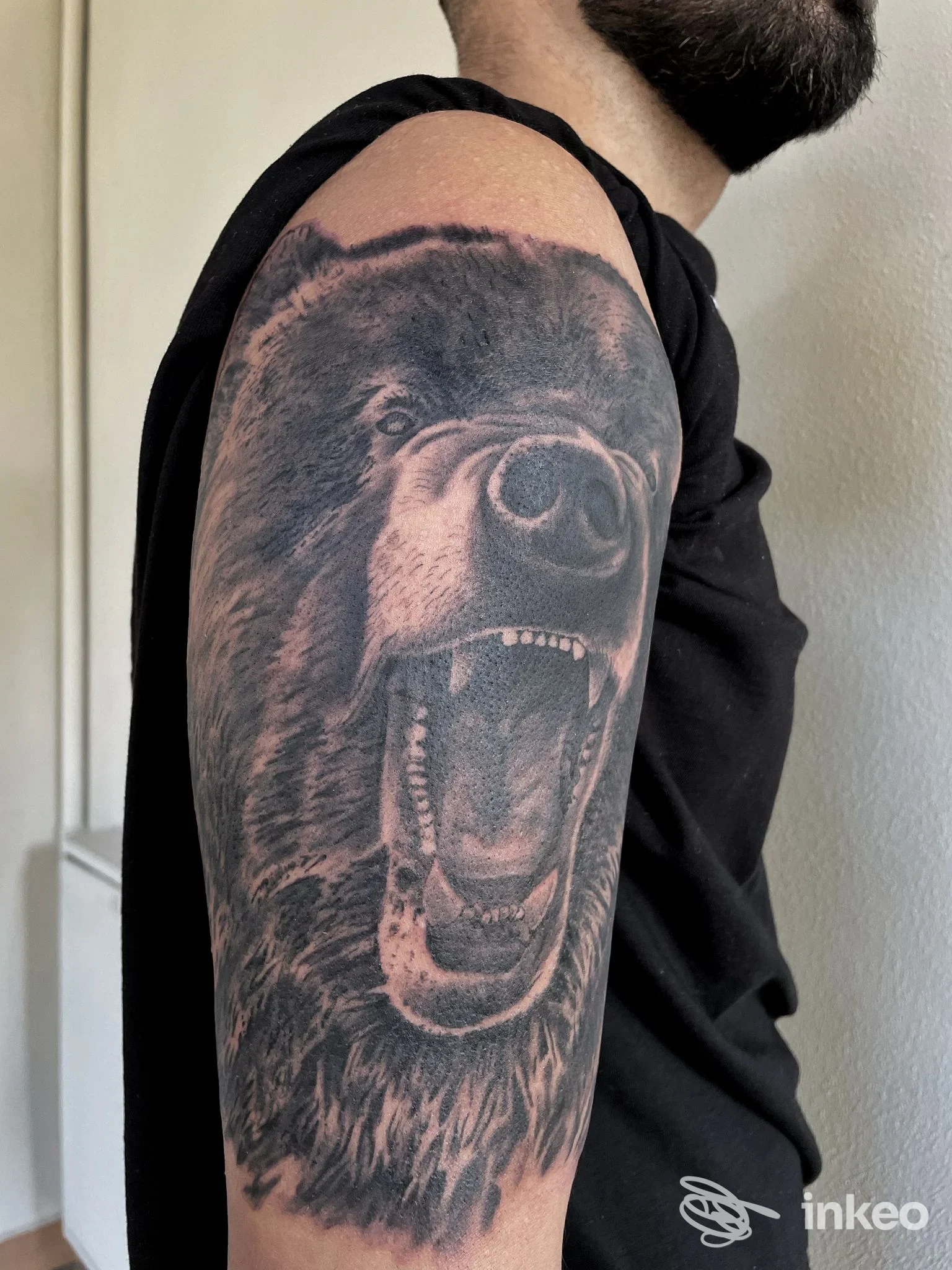 Tatuaggio realistico di un orso ruggente sul braccio superiore; fotografia dello studio NEED tattoo shop a Novellara.