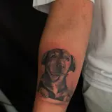 Profilo Instagram di Sailors Tattoo