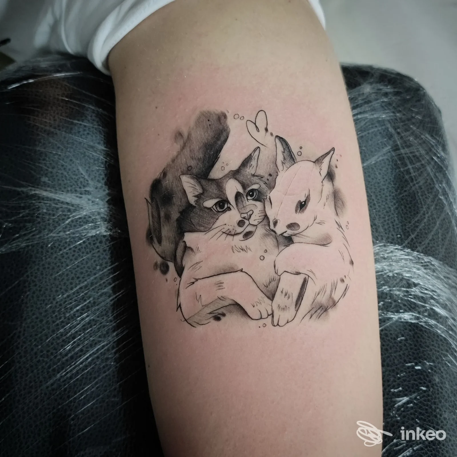 Tatuaggio di due volpi stilizzate sull'avambraccio, realizzato allo studio Black Angel tattoo a Fasano.