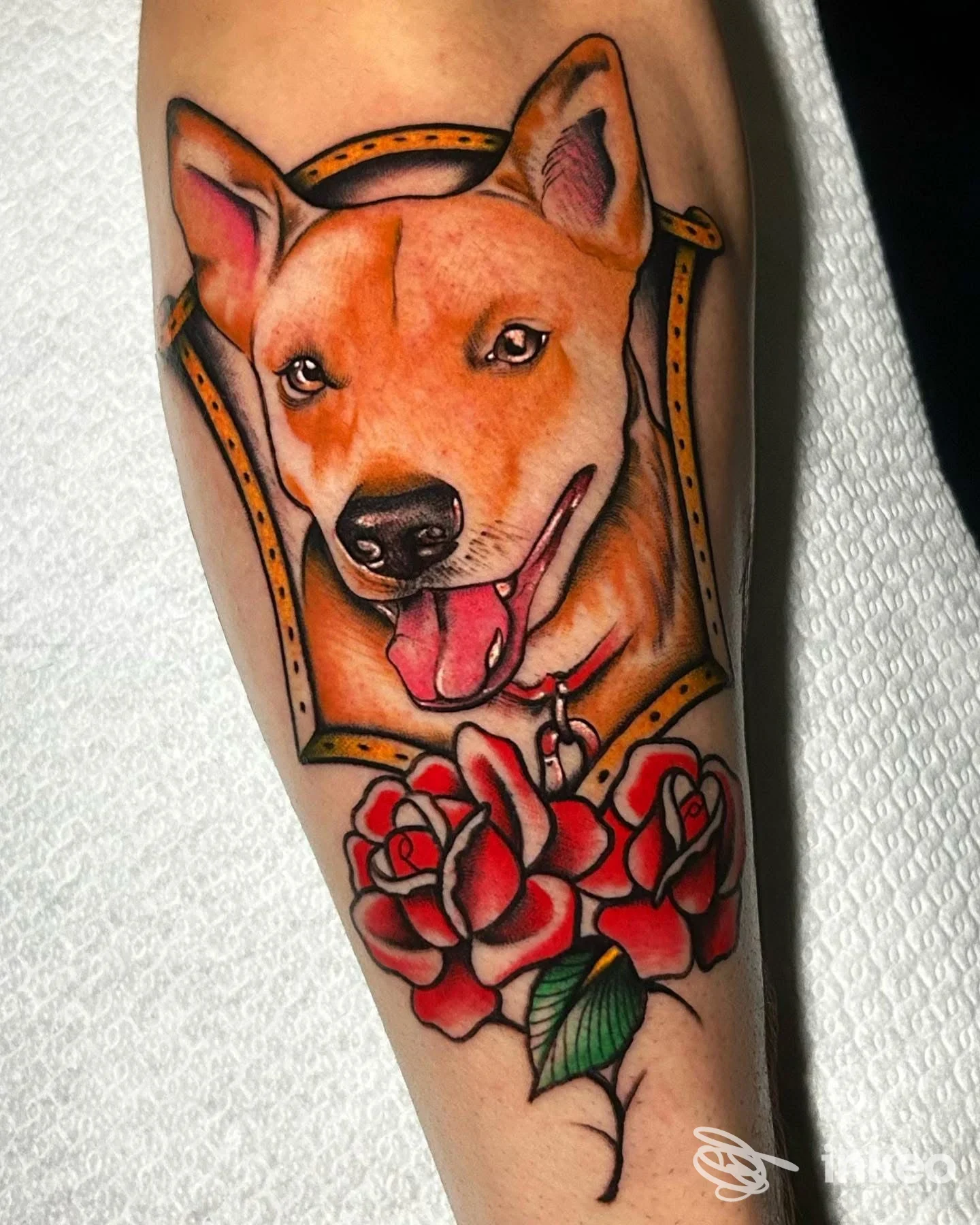 Tatuaggio su avambraccio con ritratto di cane e rose, immagine fornita da UNDERSKIN-TATTOO STUDIO di Mauro Monopoli, Orta Nova.