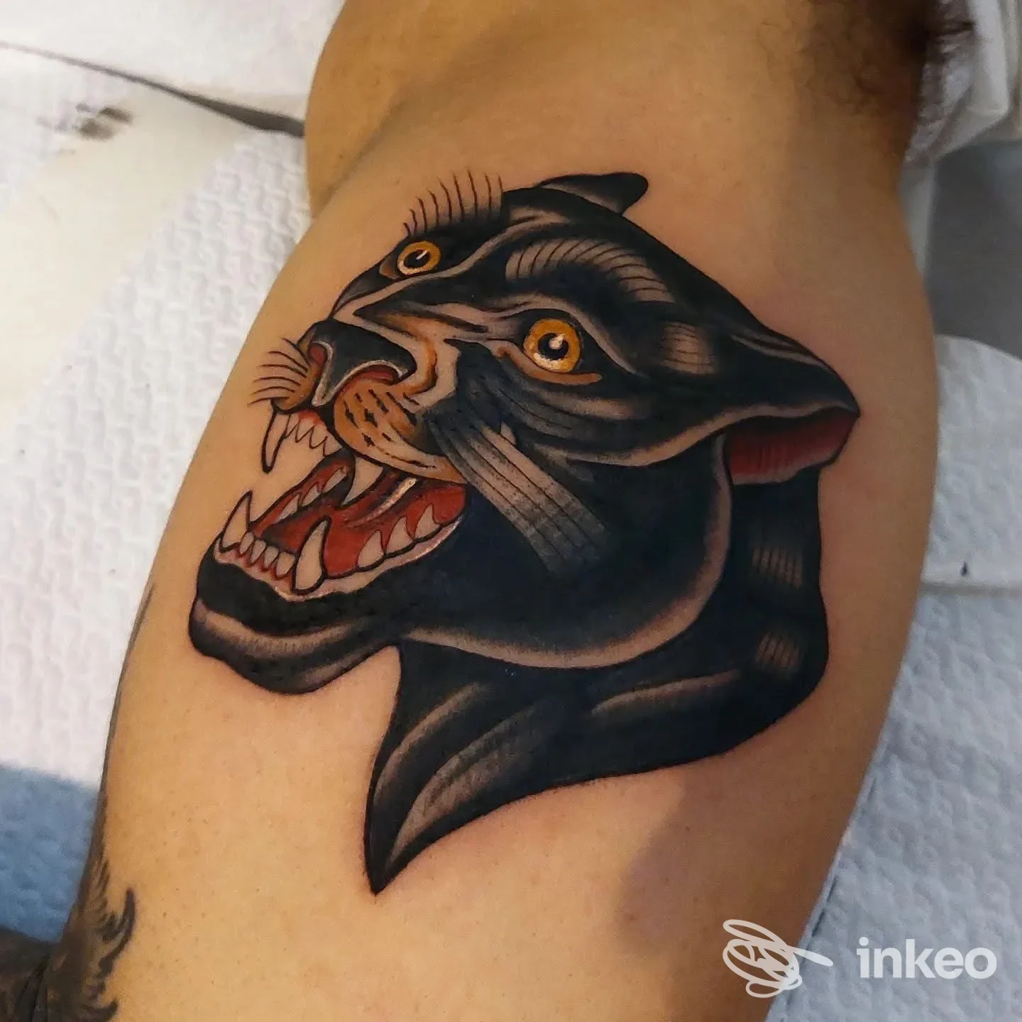 Tatuaggio di una pantera nera in stile tradizionale/neo-tradizionale sull'avambraccio, fotografia del lavoro eseguito da UNDERSKIN-TATTOO STUDIO a Orta Nova.
