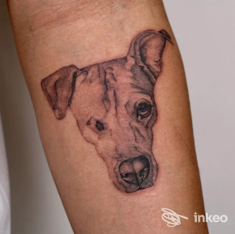 Tatuaggio realistico di un muso di cane sull'avambraccio, fotografato frontalmente; immagine fornita da Vento Tattoo Studio, Bari.