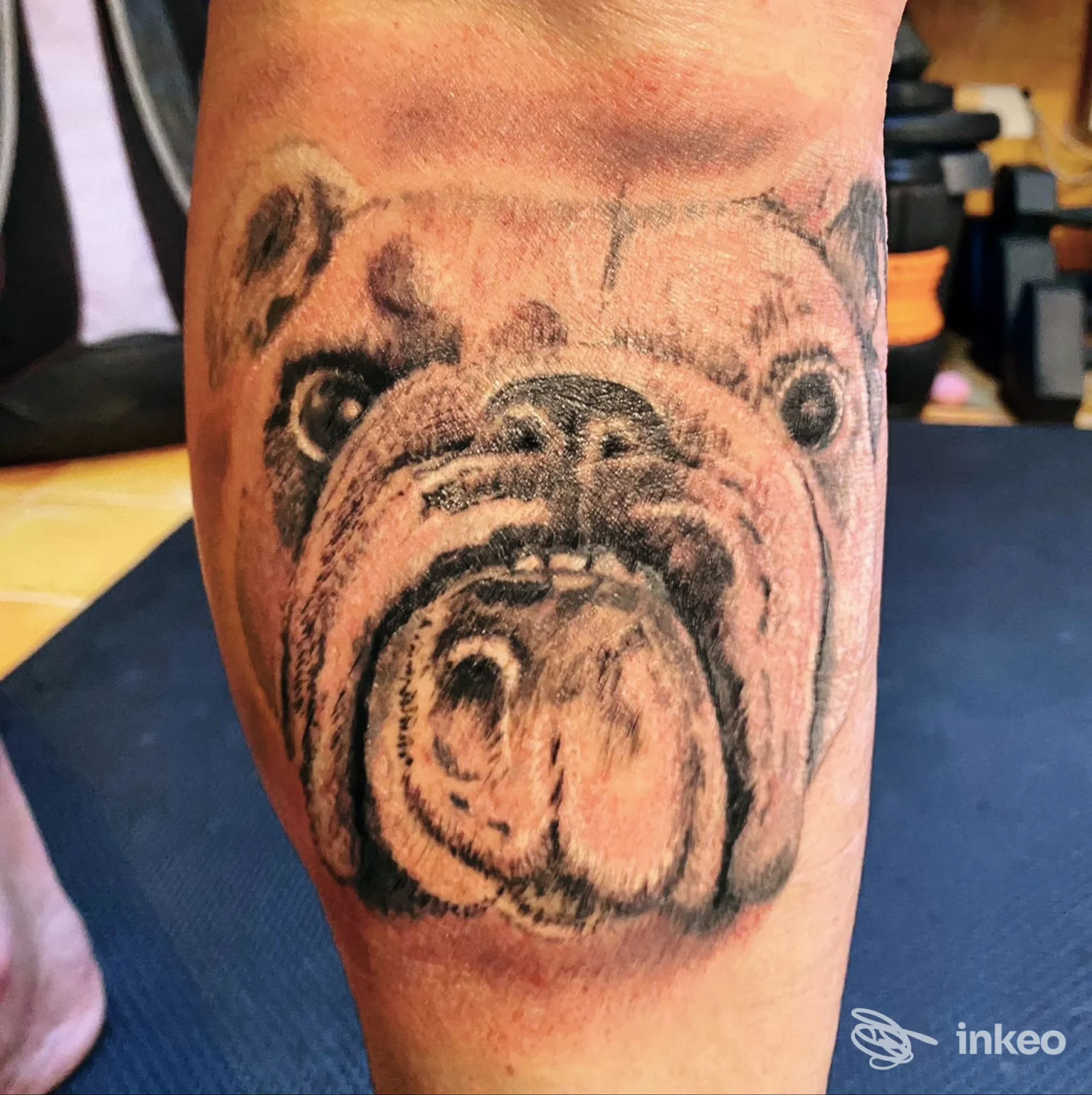 Primo piano del muso di un bulldog tatuato in bianco e nero sul polpaccio, h2o tattoo & piercing, Verona.