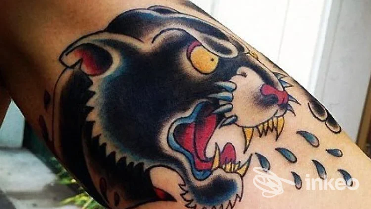 Tatuaggio a colori di un felino sul braccio, foto fornita dallo studio h2o tattoo & piercing, Verona.