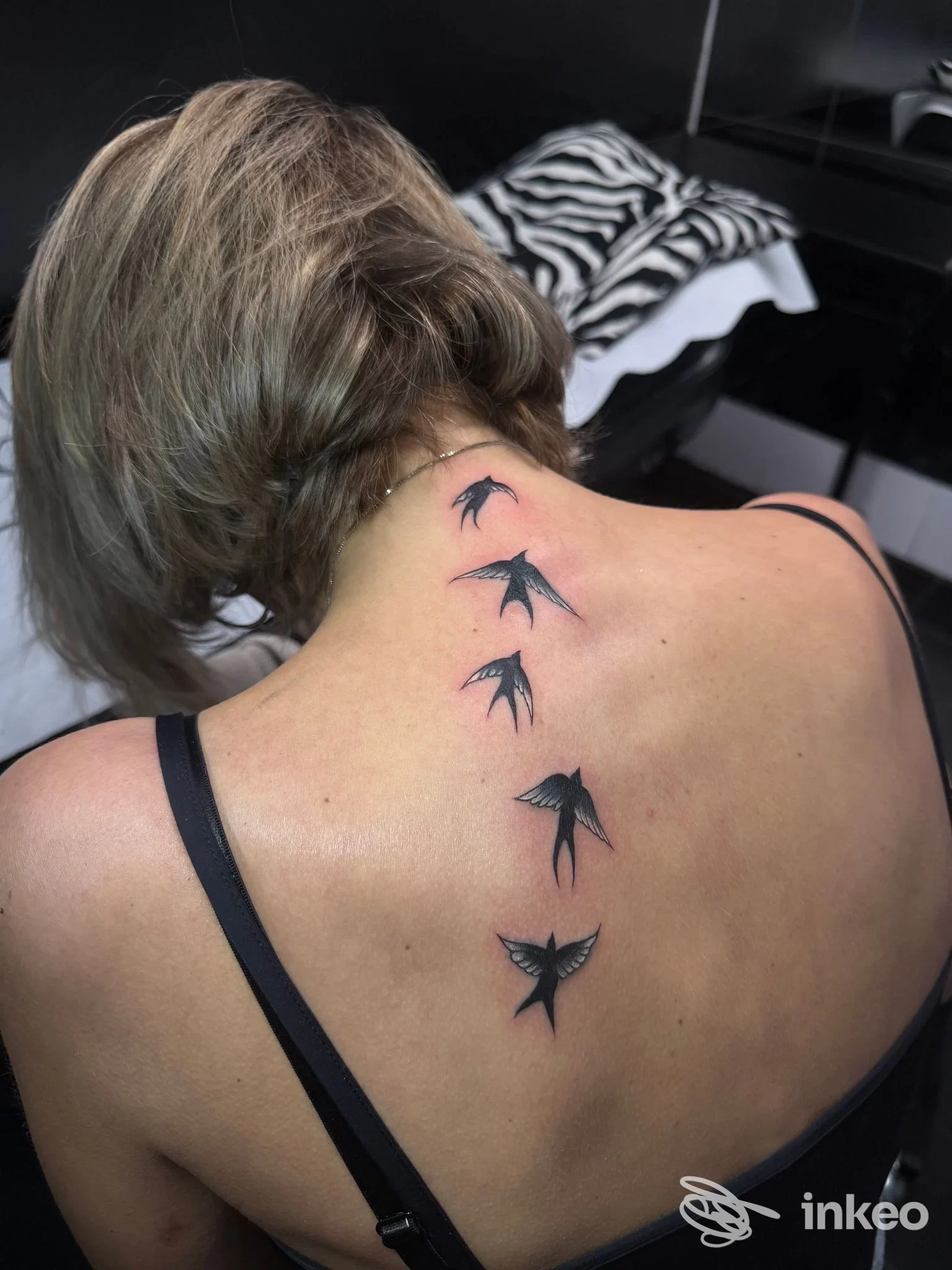 Tattoo di cinque uccelli stilizzati lungo la colonna vertebrale sulla schiena di una persona, realizzato presso Rebel Ink.
