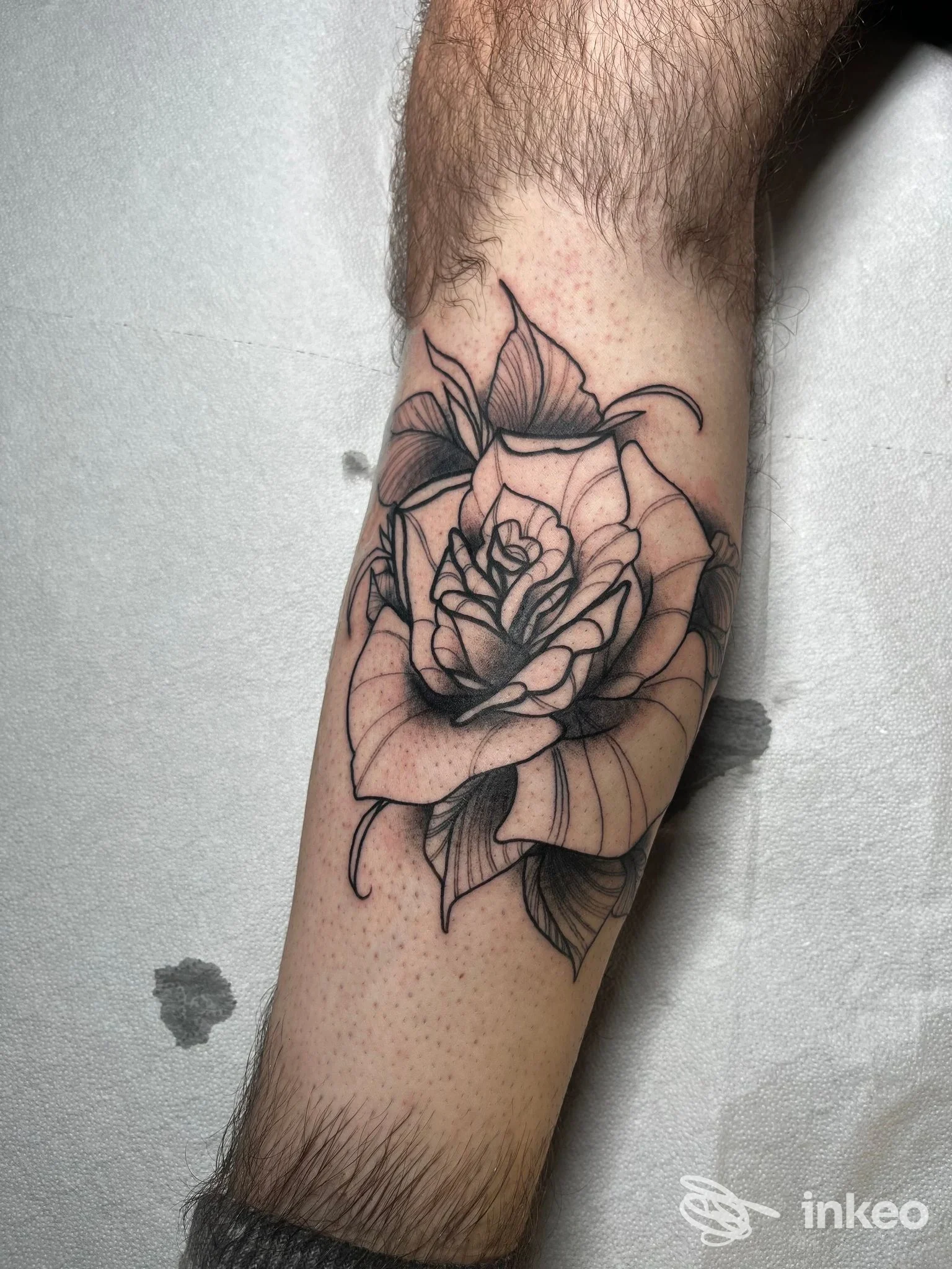 Rosa tatuata in bianco e nero sull'avambraccio, lavoro di linework e ombreggiatura. Foto da Tattoon Studio, Bitonto.