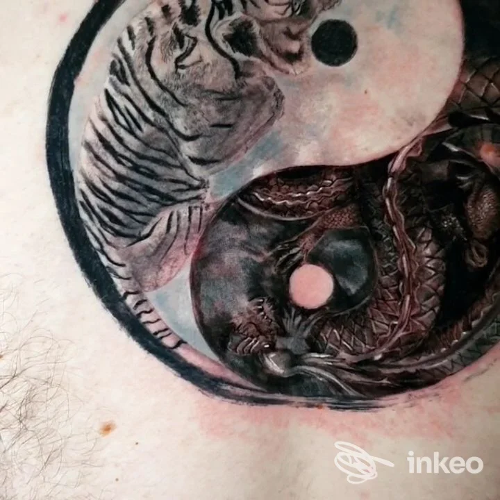 Tatuaggio yin-yang con tigre e drago sul petto, fotografia di lavoro eseguito presso Onirico Tattoo studio a Rieti.