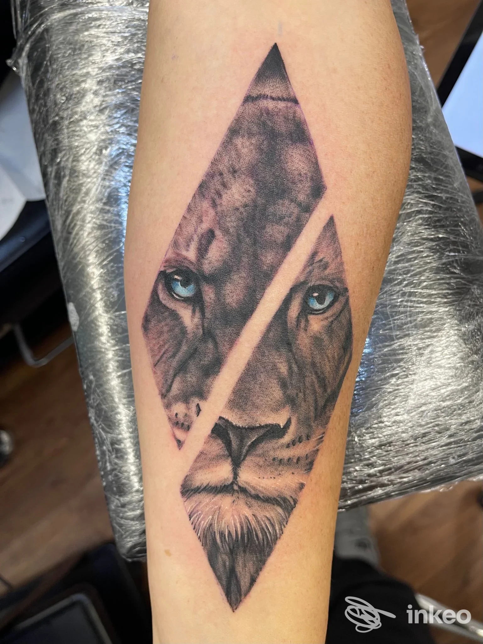 Tatuaggio realistico di un leone su avambraccio, 2wayink tattoostudio a Nepi.