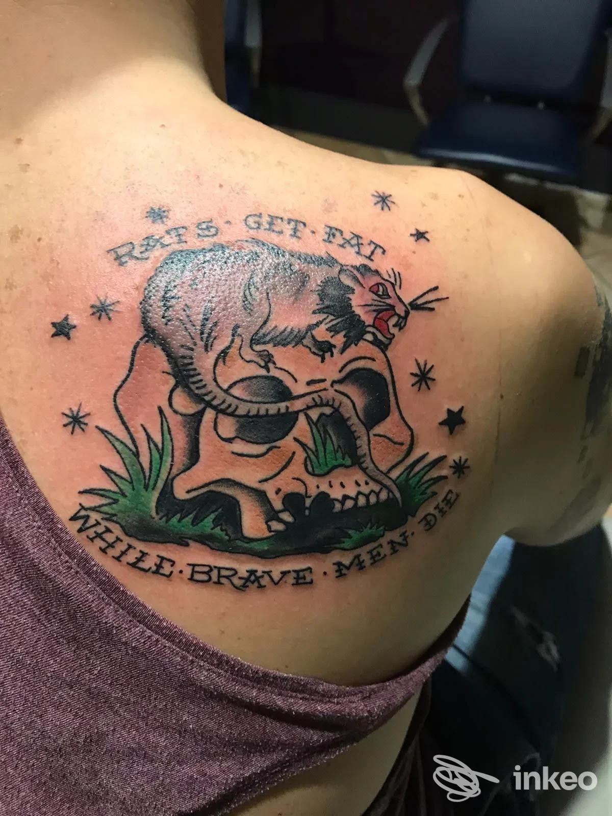 Tatuaggio tradizionale su spalla e parte superiore della schiena con teschio e ratto, Romy Tattoo, Fiano Romano.