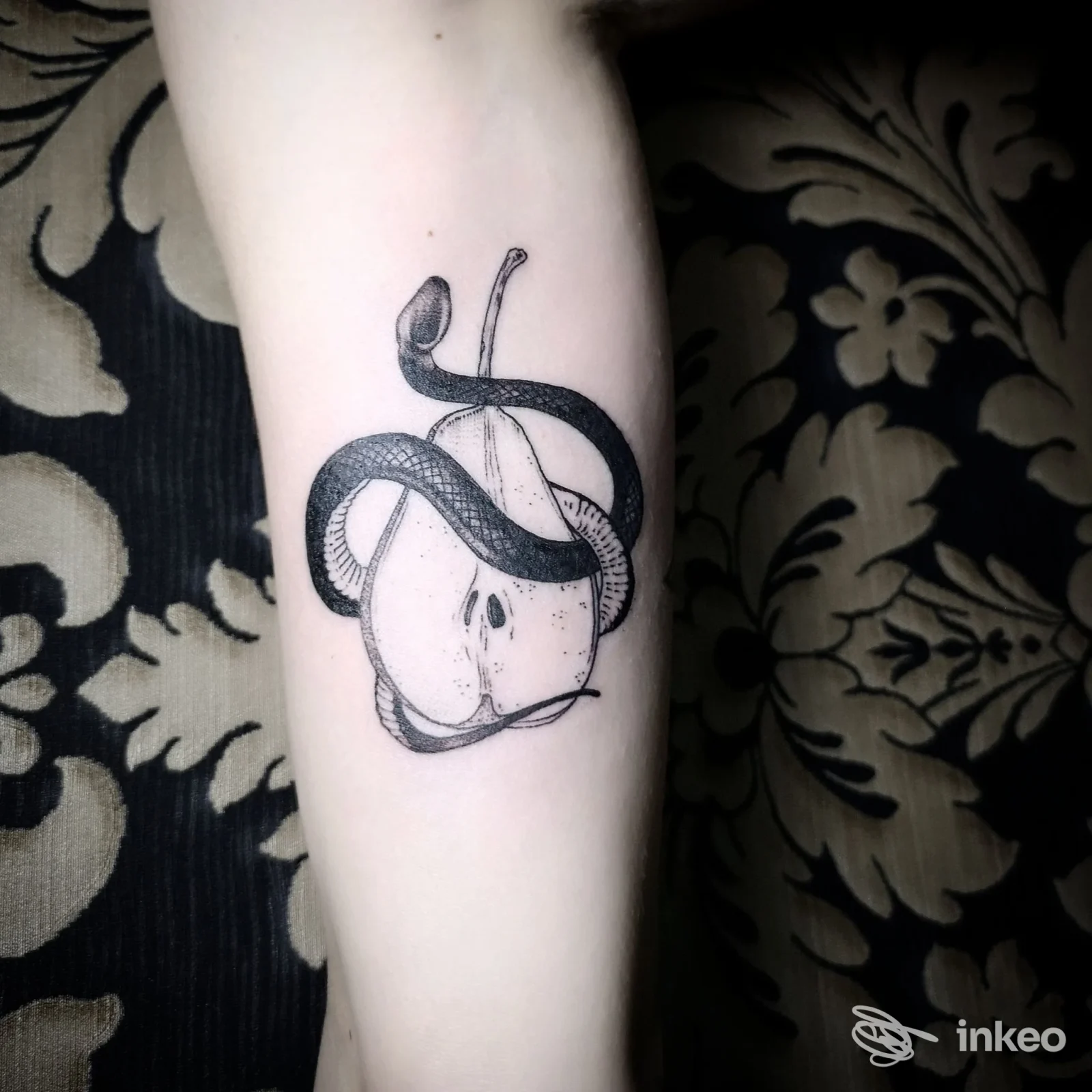 Tatuaggio in bianco e nero su avambraccio raffigurante un serpente avvolto attorno a un frutto, foto dallo studio La Balena Nera a Castelmassa.