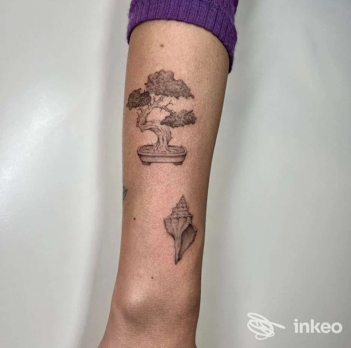 Avambraccio con due tatuaggi in bianco e nero: un bonsai in vaso e una conchiglia, foto per Blackbird tattoo studio, Prato.