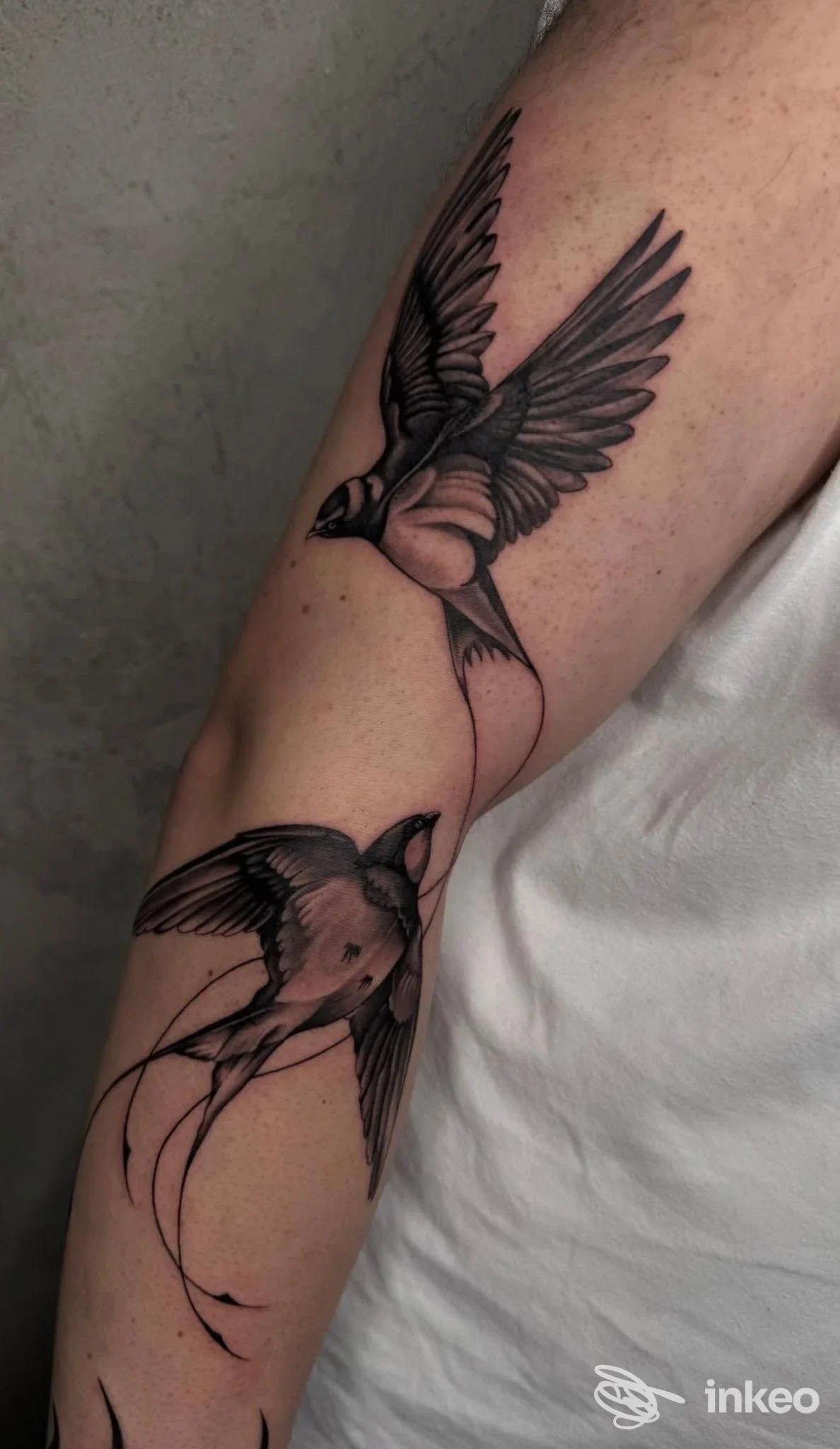 Due rondini tatuate in bianco e nero sull'avambraccio, foto inviata da Verdiana Mora Studio Tattoo a Borgomanero.