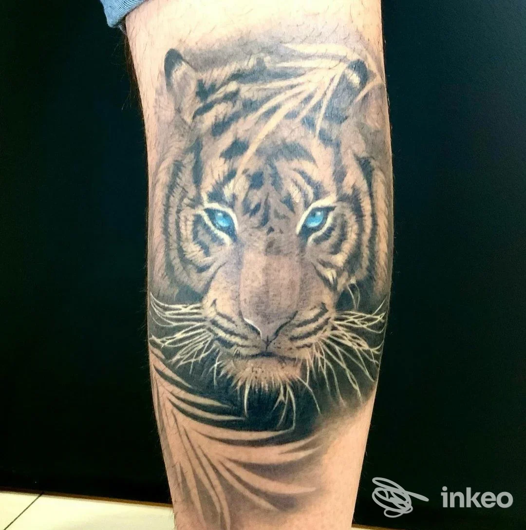 Tatuaggio realistico di una testa di tigre sul polpaccio, foto inviata da Purple Snake tattoo studio ad Aprilia.