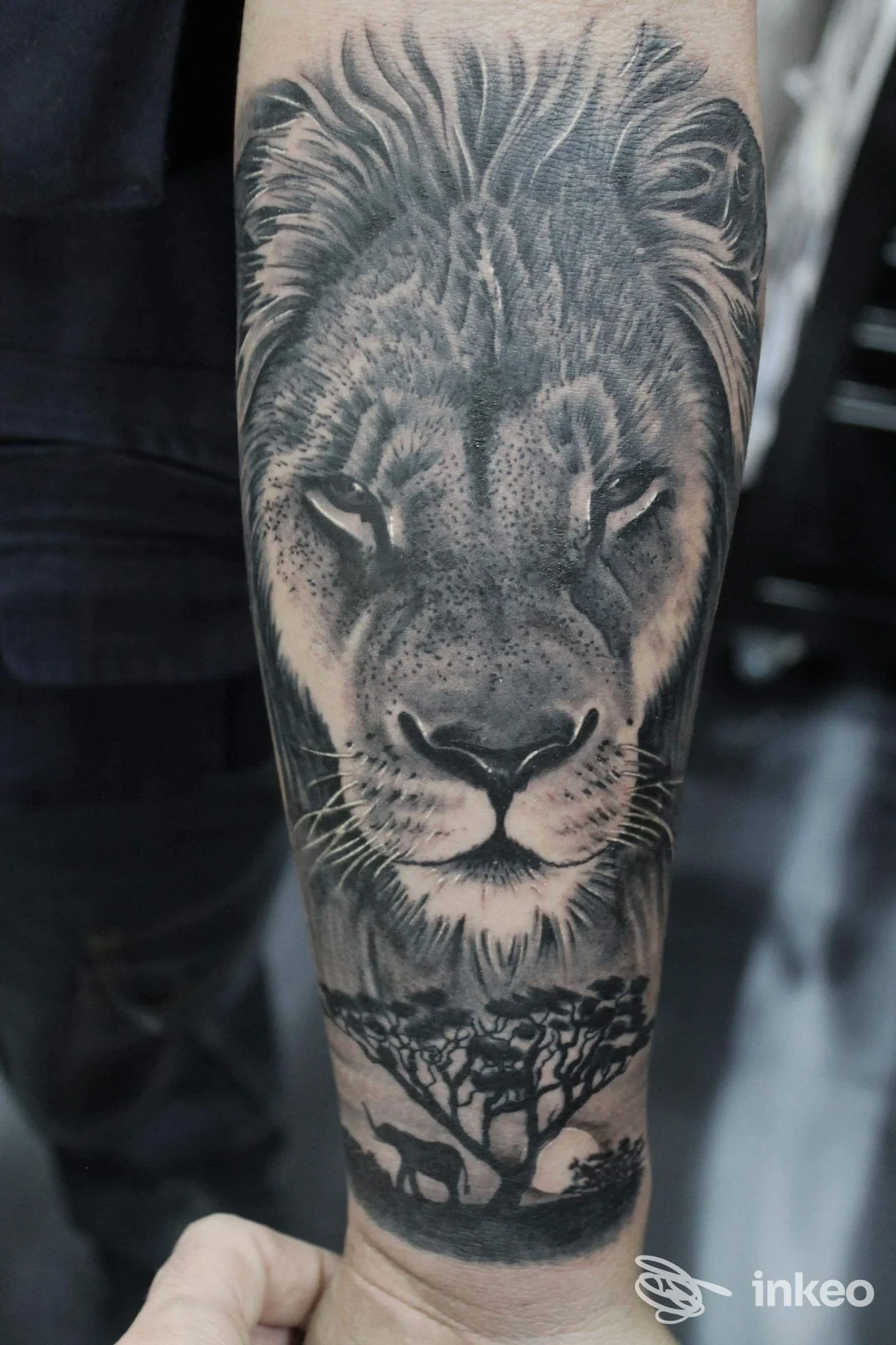 Tatuaggio realistico di testa di leone e scena savana sull'avambraccio, Ink's Hole, Napoli.