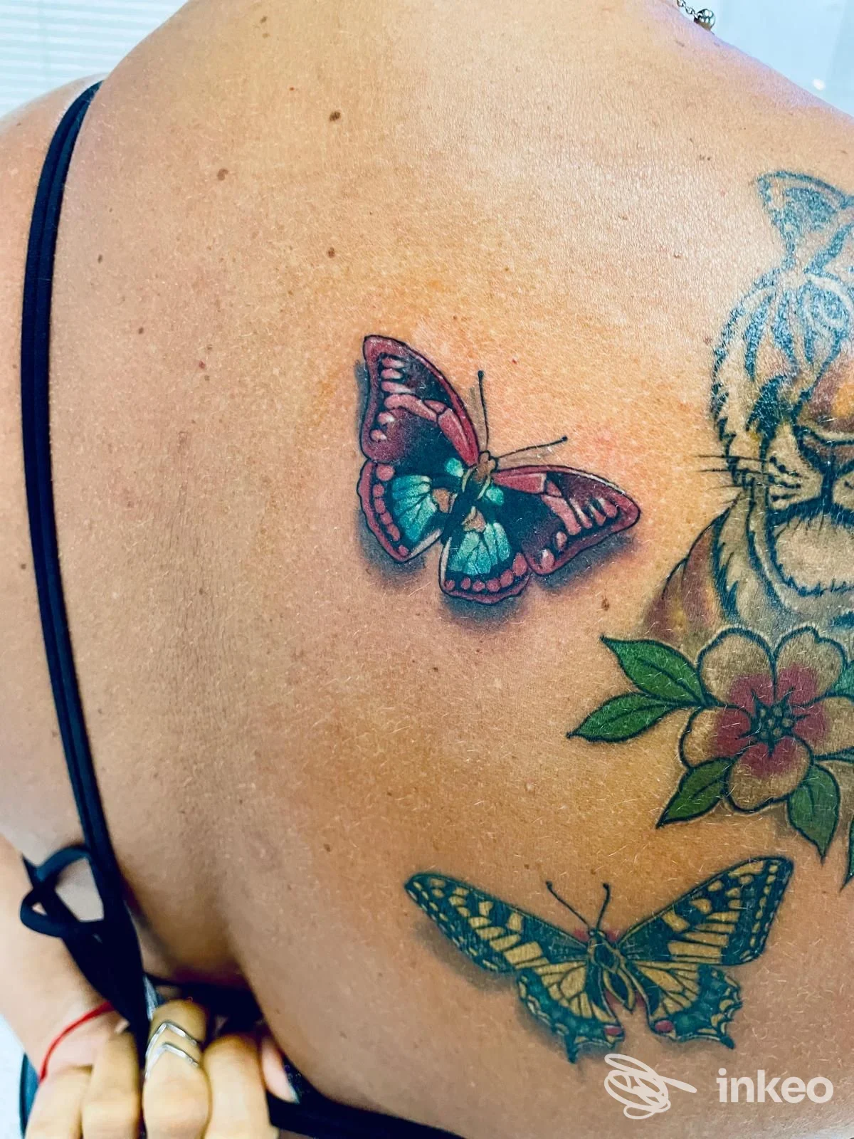 Tatuaggi colorati sulla spalla e parte superiore della schiena, foto fornita da Left Hand Studio tattoo, Roma.
