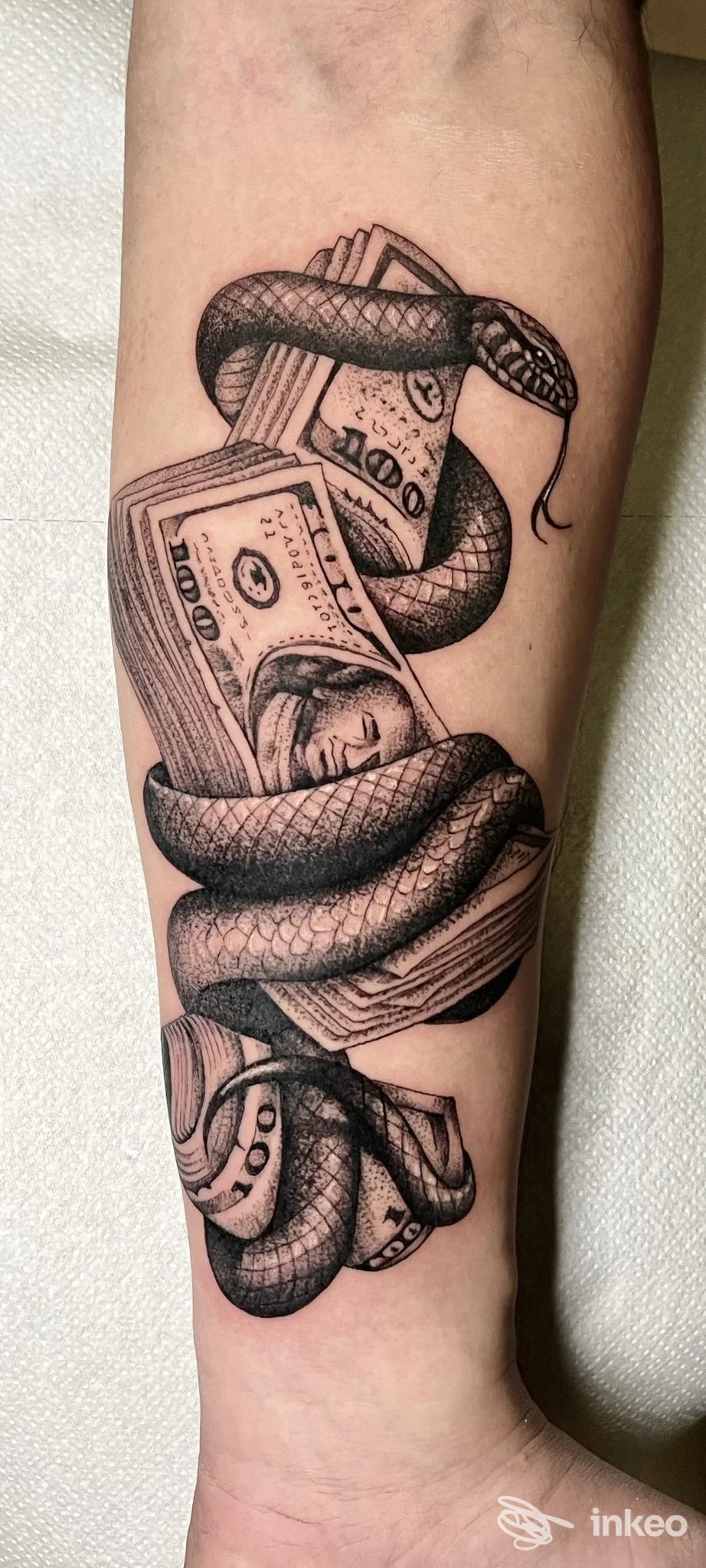 Tatuaggio sull'avambraccio di un serpente avvolto attorno a mazzi di banconote, realizzato da Paradox Ink a Viareggio.