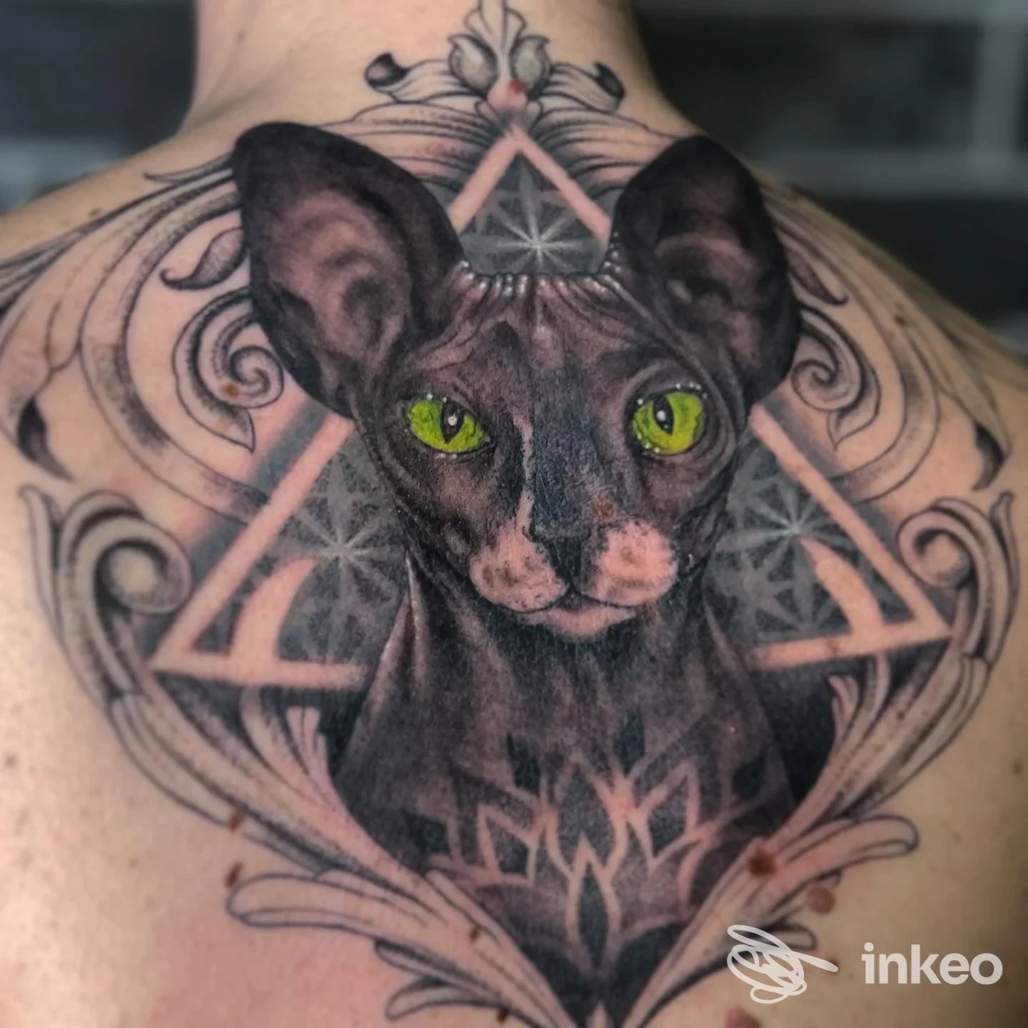 Tatuaggio a colori raffigurante la testa di un gatto sulla parte superiore della schiena, foto di Ink&Beauty Tattoo a Policoro.