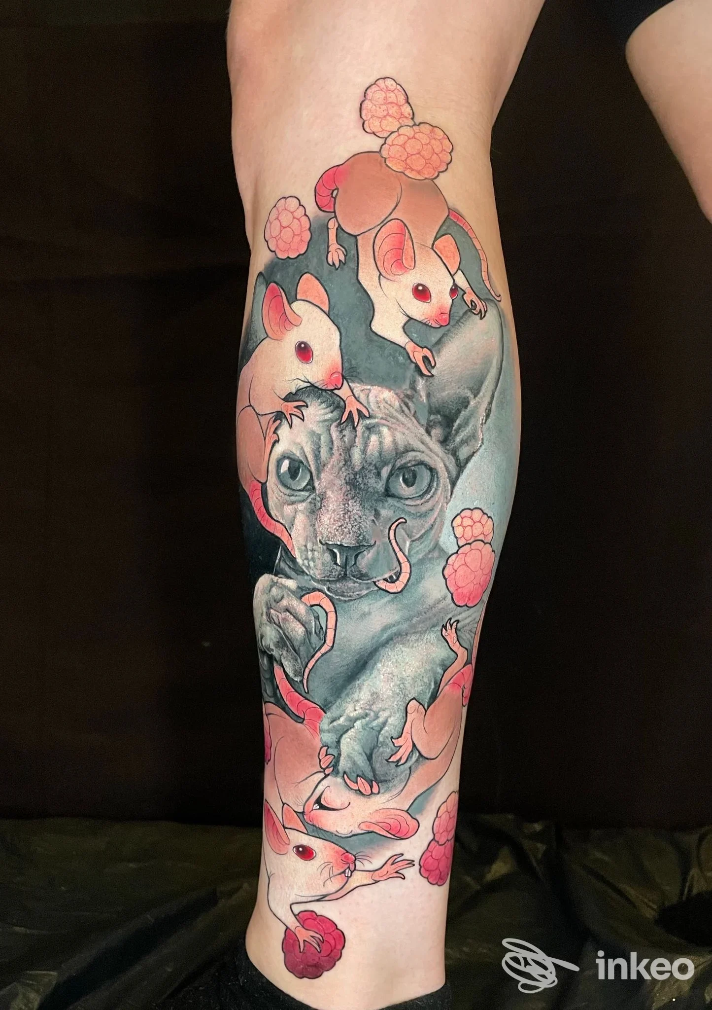 Grande tatuaggio sull'avambraccio con testa di gatto centrale e topi rosa intorno, foto inviata dallo studio Venerdì 17 ad Asti.