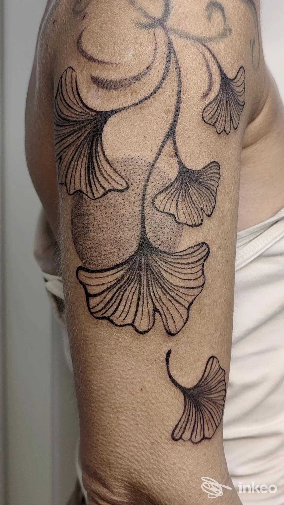 Tatuaggi a foglia di ginkgo in nero sul tricipite, foto per Petalo Nero Tattoo Atelier a Conegliano.
