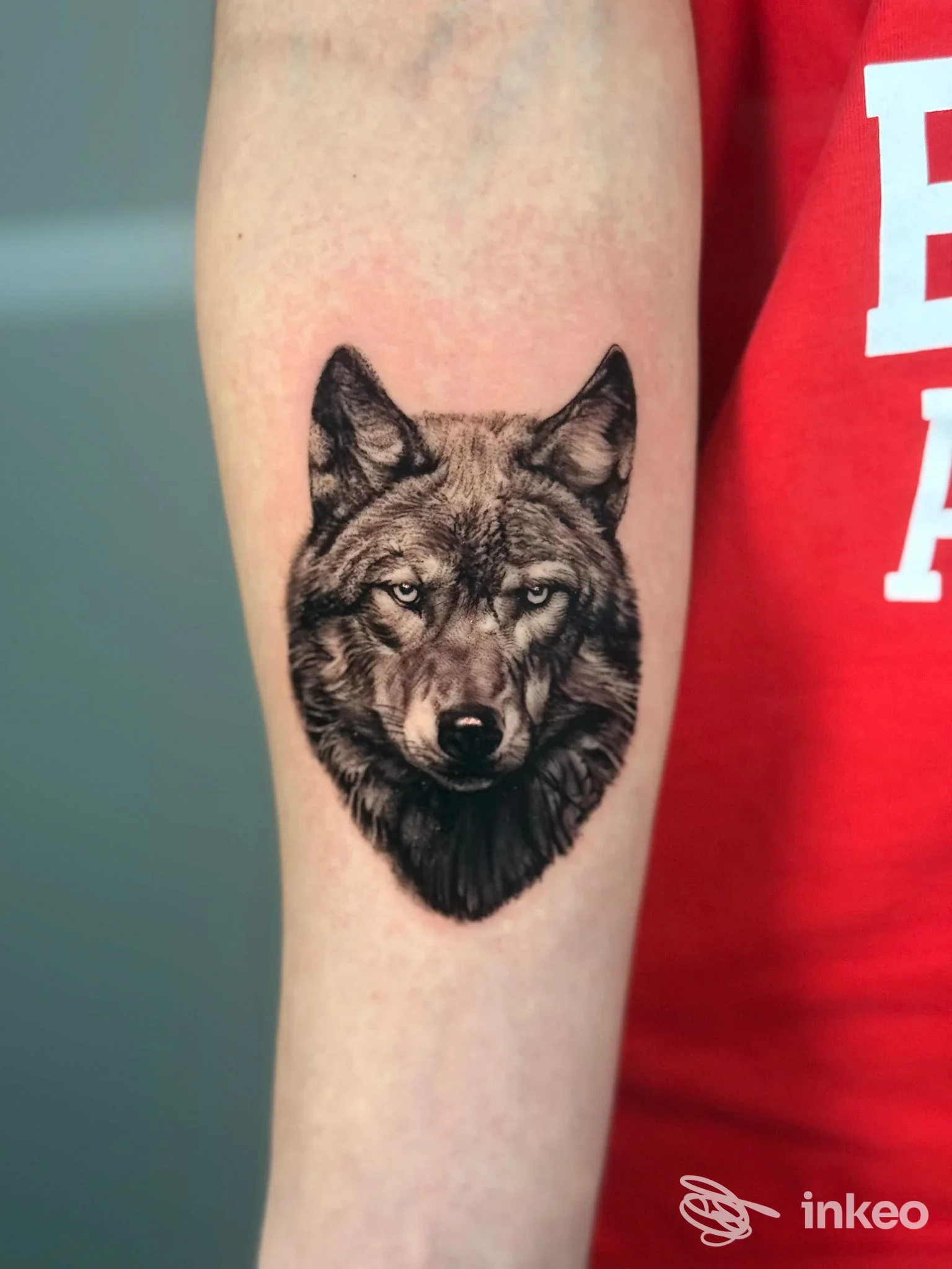 Primo piano di un tatuaggio realistico raffigurante la testa di un lupo sull'avambraccio, dettagli in bianco e nero, Santopietro, Montemesola.