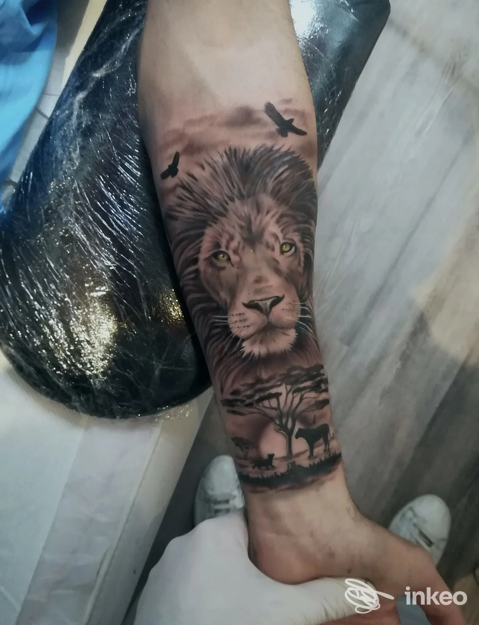 Tatuaggio realistico di leone sull'avambraccio, eseguito presso Studio Shell a Silea.