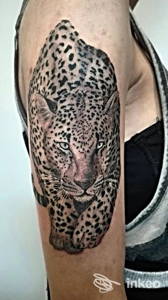 Tatuaggio black & grey di un leopardo realistico sull'avambraccio, Skin Line, Pergine Valsugana.