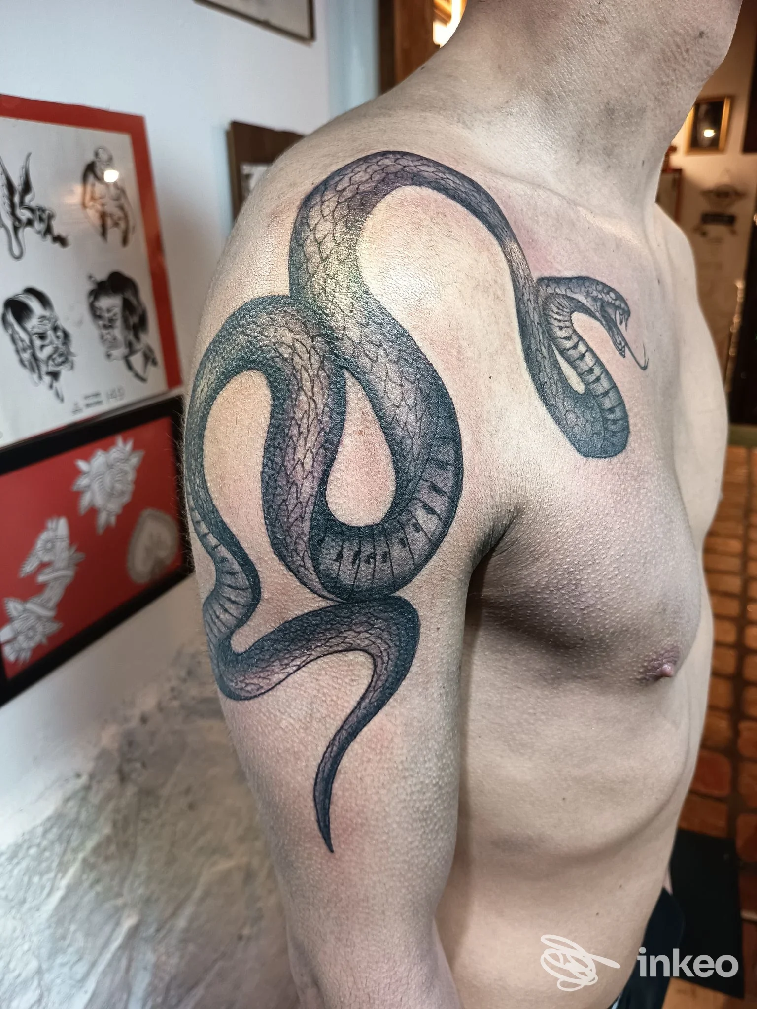 Serpente nero e grigio con linework e sfumature su spalla e braccio superiore, fotografato nello studio L'Arte Sulla Pelle, Livorno.