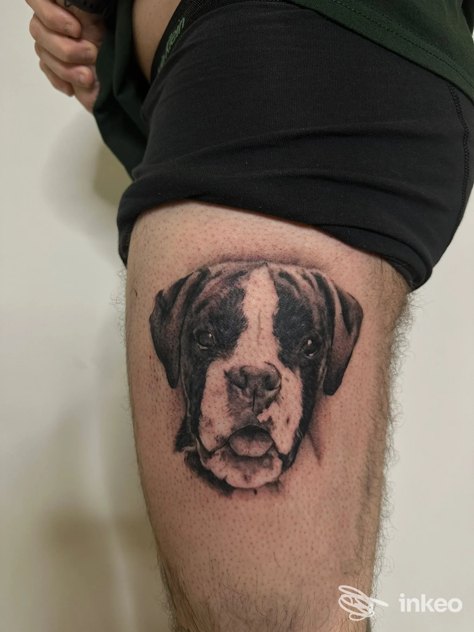 Tatuaggio realistico del muso di un cane sulla coscia, Zerbo Tattoo and More, Moglia.