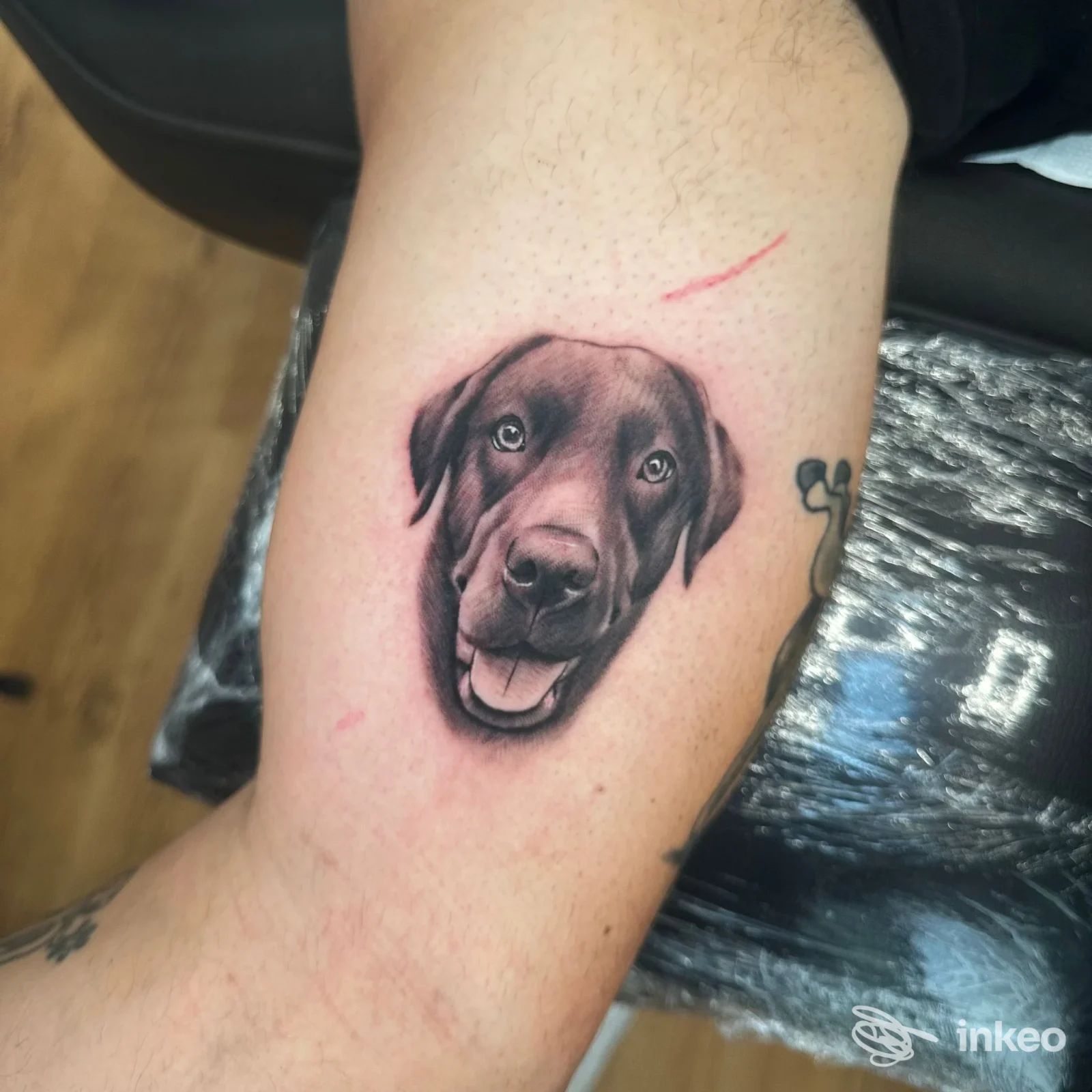 Ritratto realistico di un cane tatuato sull'interno del braccio, fotografia scattata in studio Morphosy a Grosseto.
